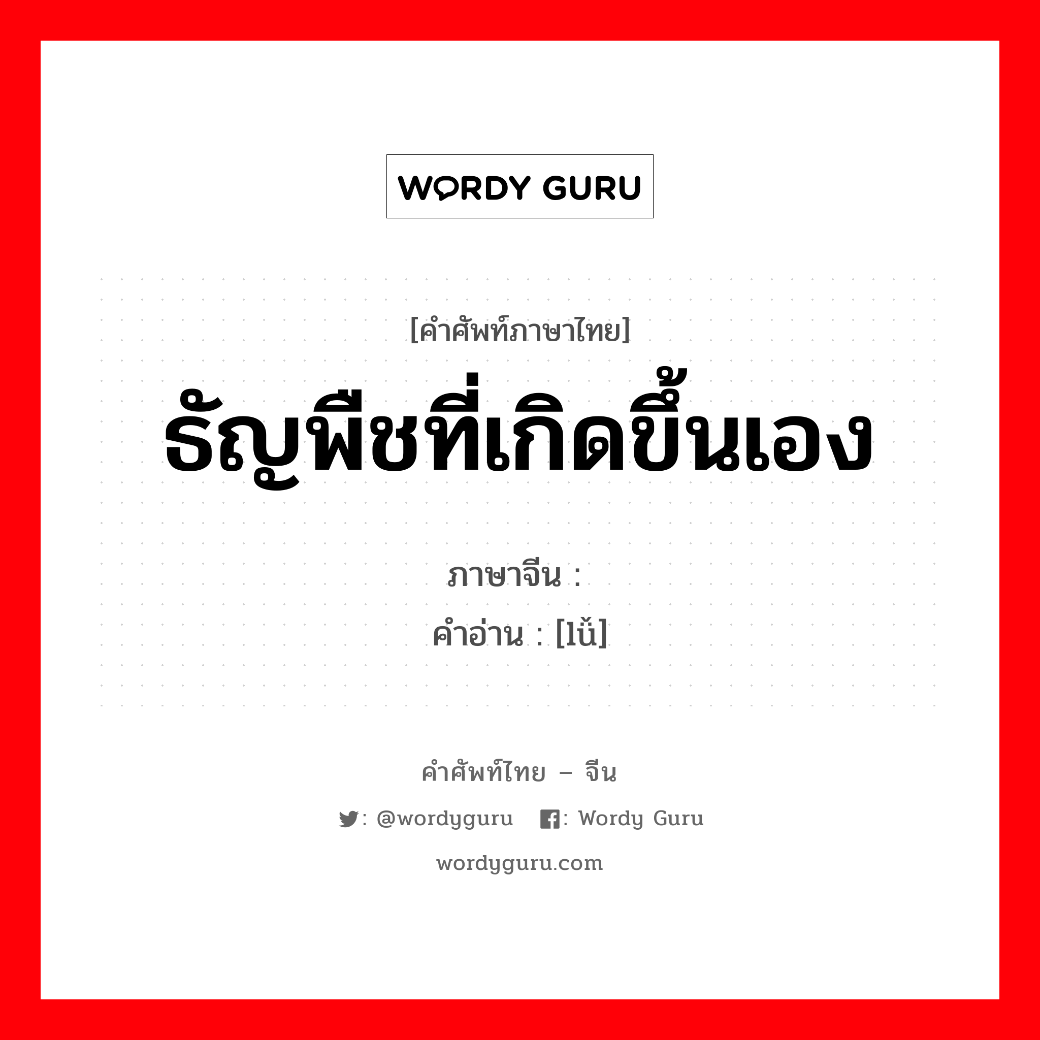 ธัญพืชที่เกิดขึ้นเอง ภาษาจีนคืออะไร, คำศัพท์ภาษาไทย - จีน ธัญพืชที่เกิดขึ้นเอง ภาษาจีน 稆 คำอ่าน [lǚ]