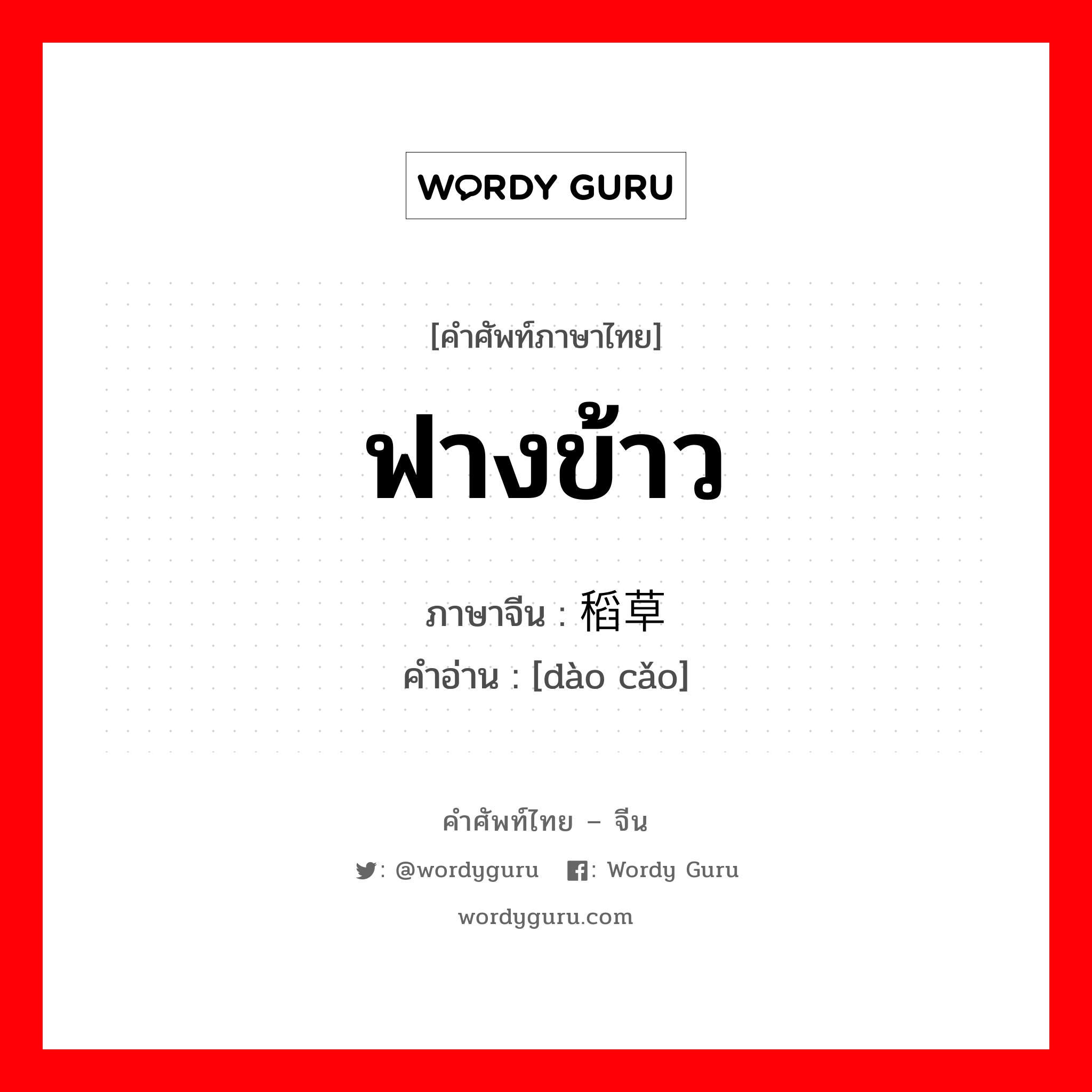 ฟางข้าว ภาษาจีนคืออะไร, คำศัพท์ภาษาไทย - จีน ฟางข้าว ภาษาจีน 稻草 คำอ่าน [dào cǎo]