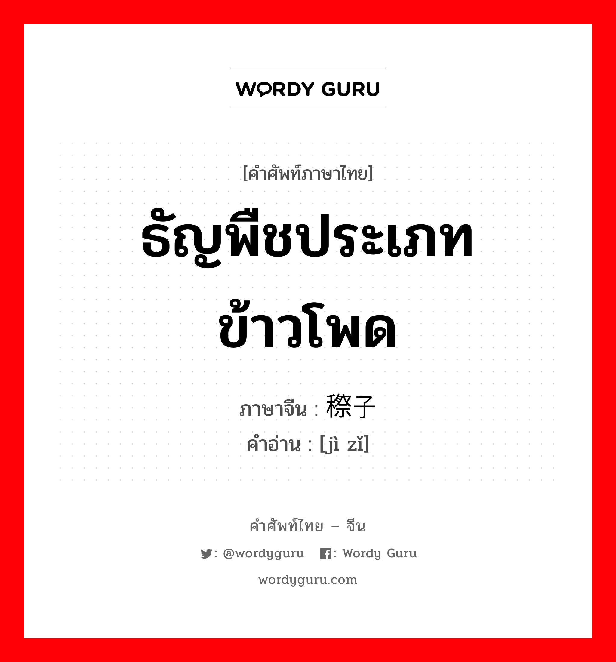 ธัญพืชประเภทข้าวโพด ภาษาจีนคืออะไร, คำศัพท์ภาษาไทย - จีน ธัญพืชประเภทข้าวโพด ภาษาจีน 穄子 คำอ่าน [jì zǐ]