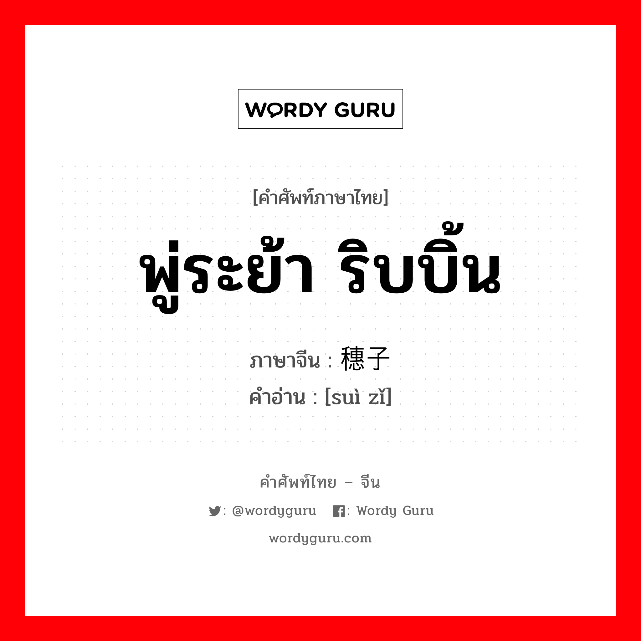 พู่ระย้า ริบบิ้น ภาษาจีนคืออะไร, คำศัพท์ภาษาไทย - จีน พู่ระย้า ริบบิ้น ภาษาจีน 穗子 คำอ่าน [suì zǐ]