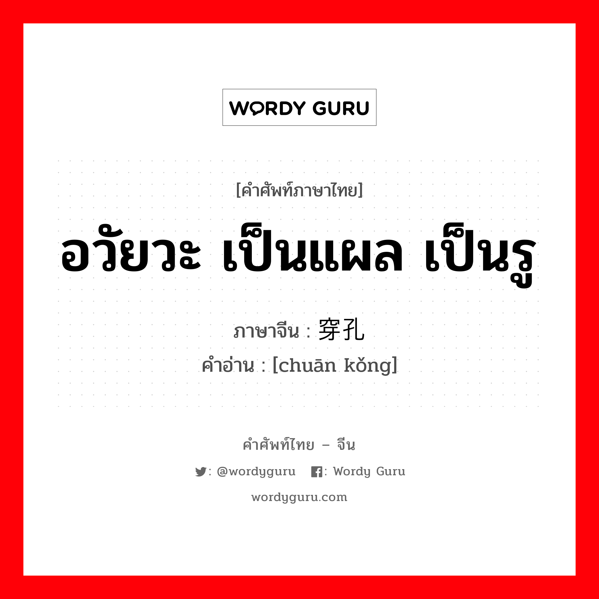 อวัยวะ เป็นแผล เป็นรู ภาษาจีนคืออะไร, คำศัพท์ภาษาไทย - จีน อวัยวะ เป็นแผล เป็นรู ภาษาจีน 穿孔 คำอ่าน [chuān kǒng]