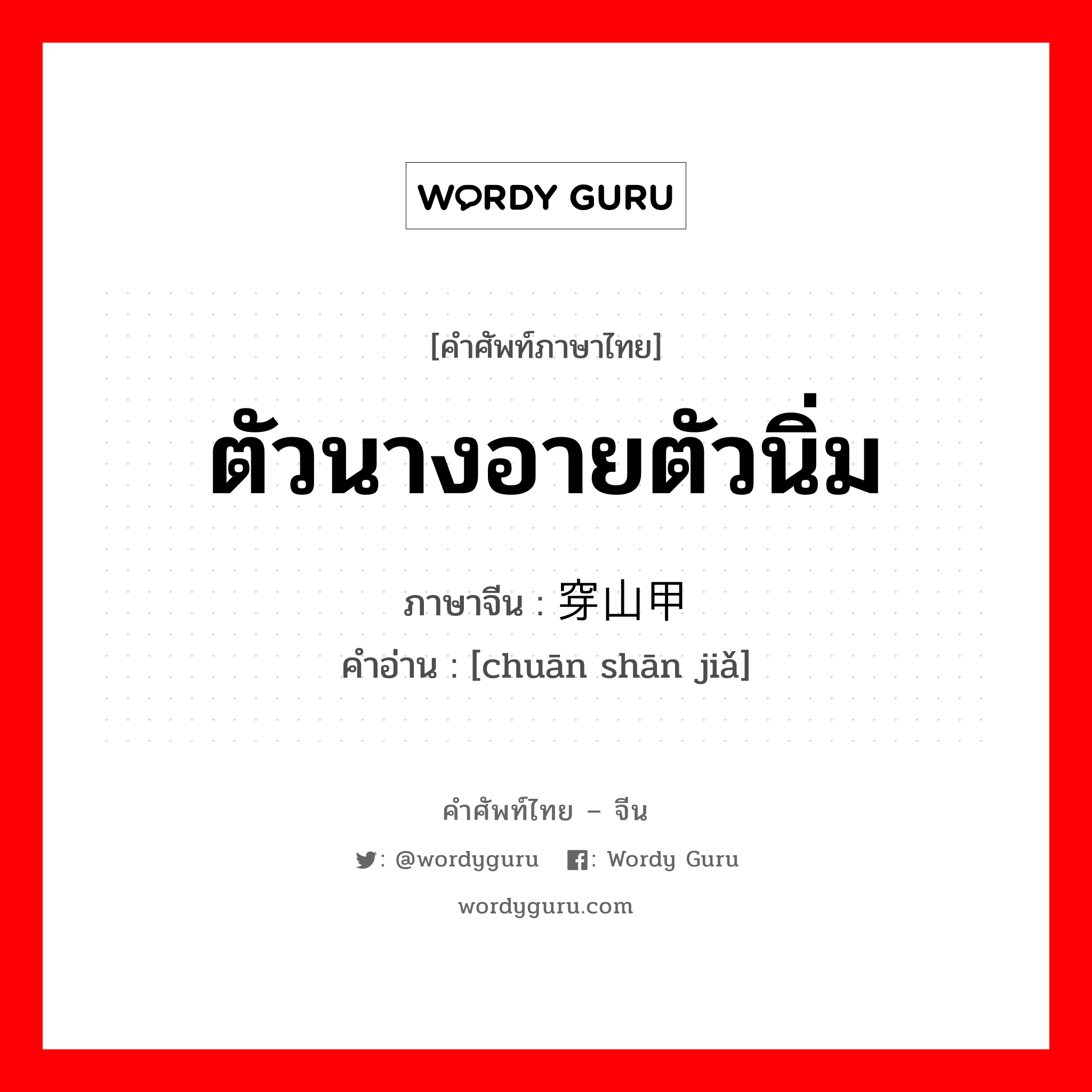 ตัวนางอายตัวนิ่ม ภาษาจีนคืออะไร, คำศัพท์ภาษาไทย - จีน ตัวนางอายตัวนิ่ม ภาษาจีน 穿山甲 คำอ่าน [chuān shān jiǎ]