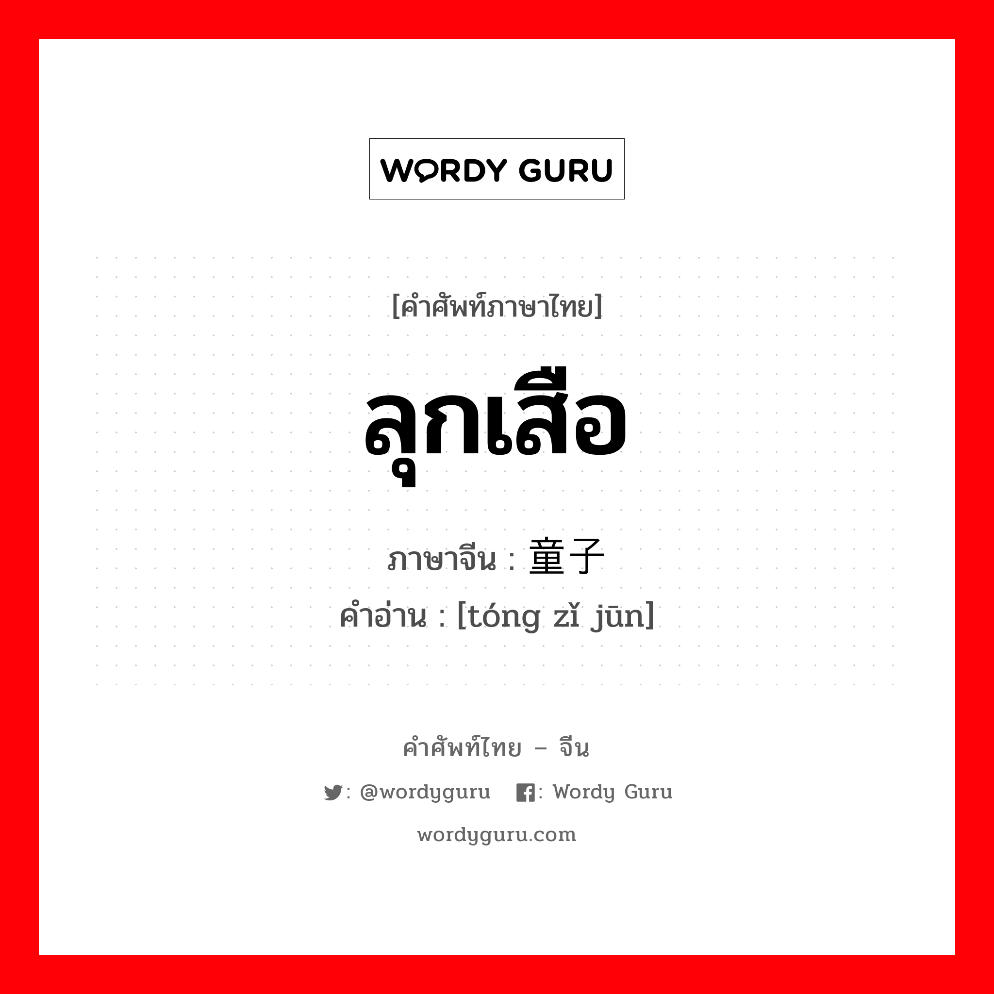 ลุกเสือ ภาษาจีนคืออะไร, คำศัพท์ภาษาไทย - จีน ลุกเสือ ภาษาจีน 童子军 คำอ่าน [tóng zǐ jūn]