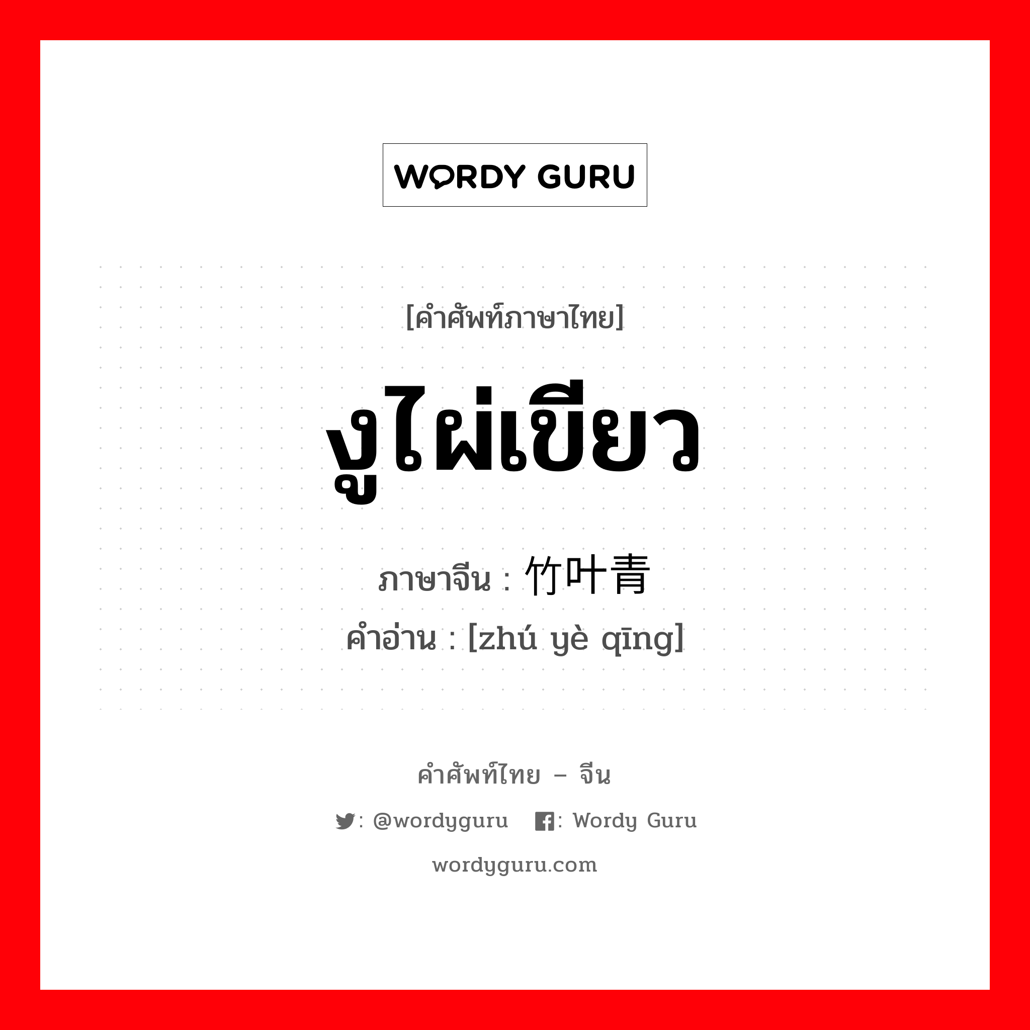 งูไผ่เขียว ภาษาจีนคืออะไร, คำศัพท์ภาษาไทย - จีน งูไผ่เขียว ภาษาจีน 竹叶青 คำอ่าน [zhú yè qīng]