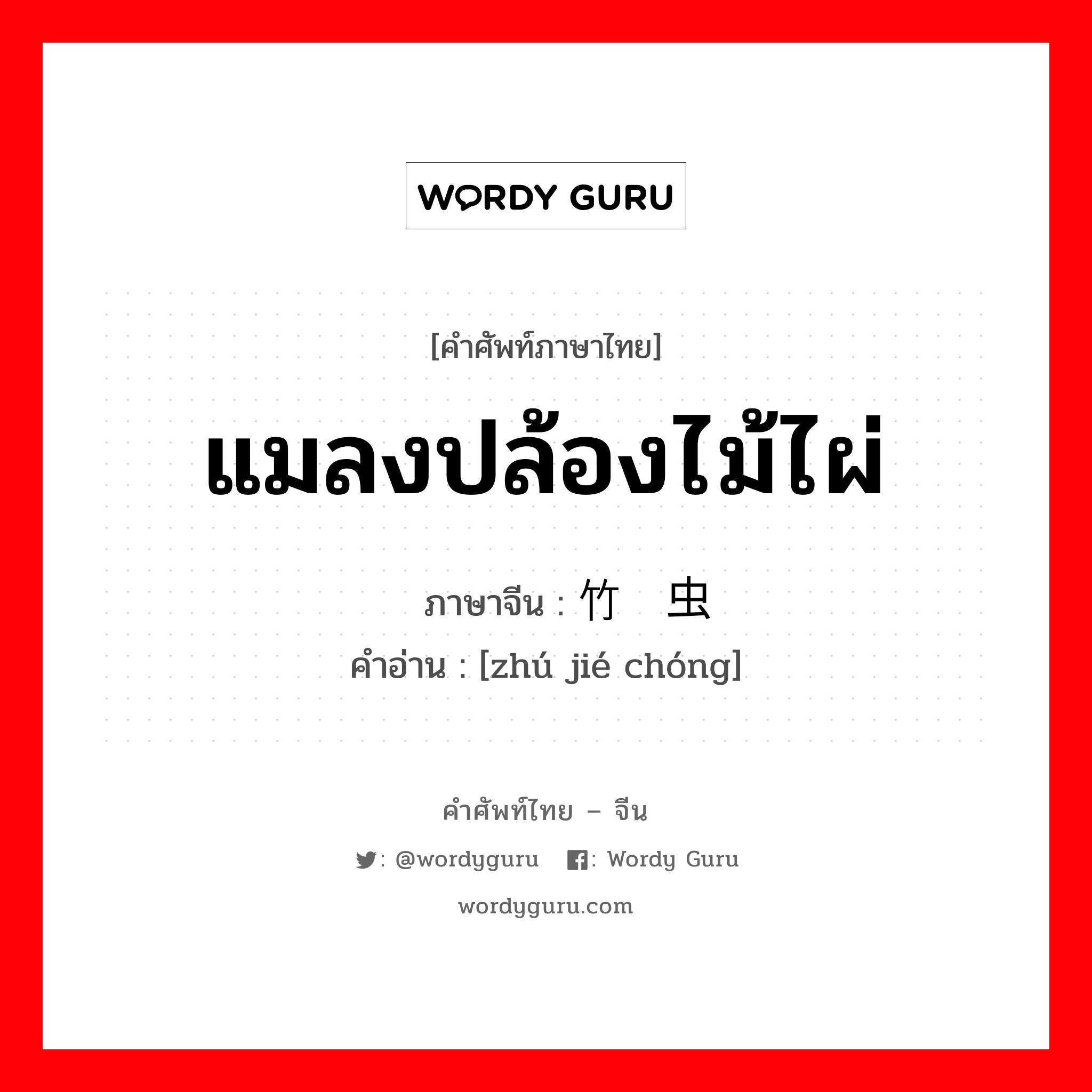 แมลงปล้องไม้ไผ่ ภาษาจีนคืออะไร, คำศัพท์ภาษาไทย - จีน แมลงปล้องไม้ไผ่ ภาษาจีน 竹节虫 คำอ่าน [zhú jié chóng]