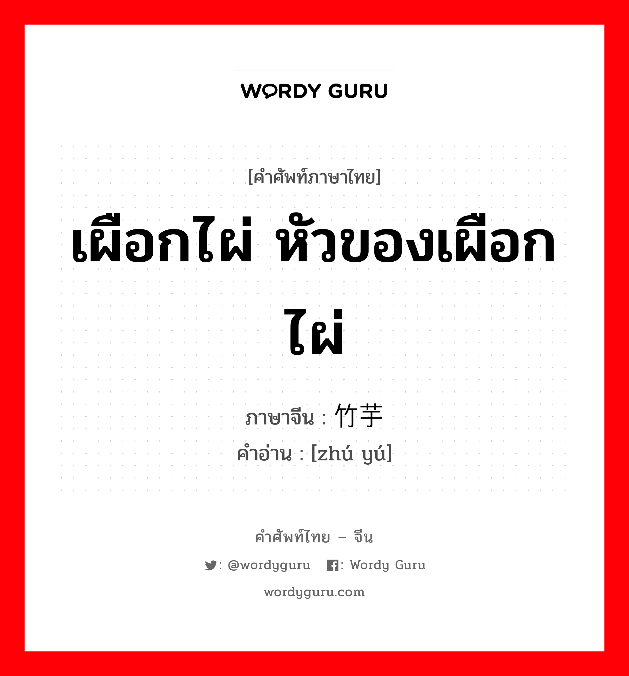 เผือกไผ่ หัวของเผือกไผ่ ภาษาจีนคืออะไร, คำศัพท์ภาษาไทย - จีน เผือกไผ่ หัวของเผือกไผ่ ภาษาจีน 竹芋 คำอ่าน [zhú yú]