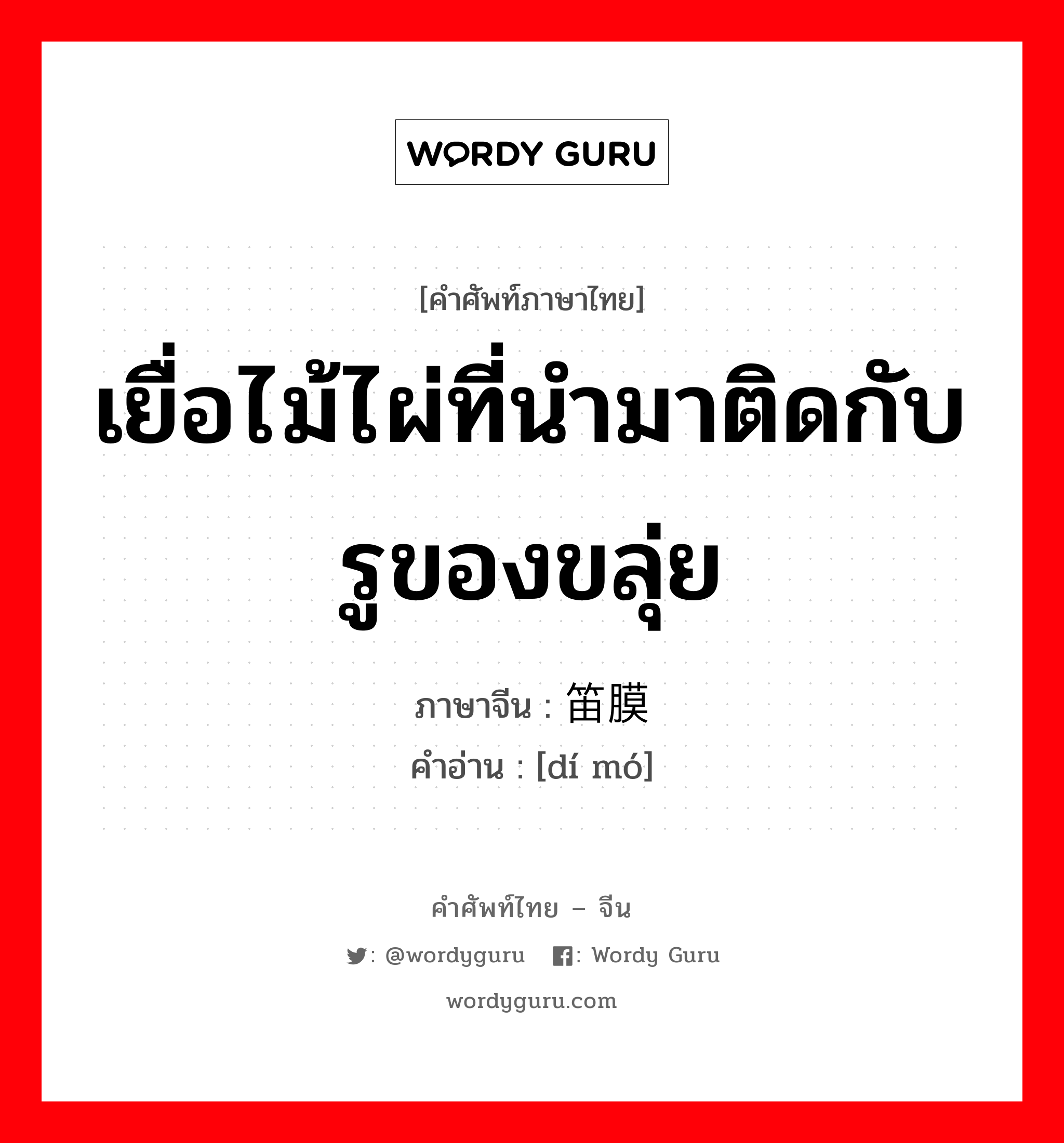 เยื่อไม้ไผ่ที่นำมาติดกับรูของขลุ่ย ภาษาจีนคืออะไร, คำศัพท์ภาษาไทย - จีน เยื่อไม้ไผ่ที่นำมาติดกับรูของขลุ่ย ภาษาจีน 笛膜 คำอ่าน [dí mó]