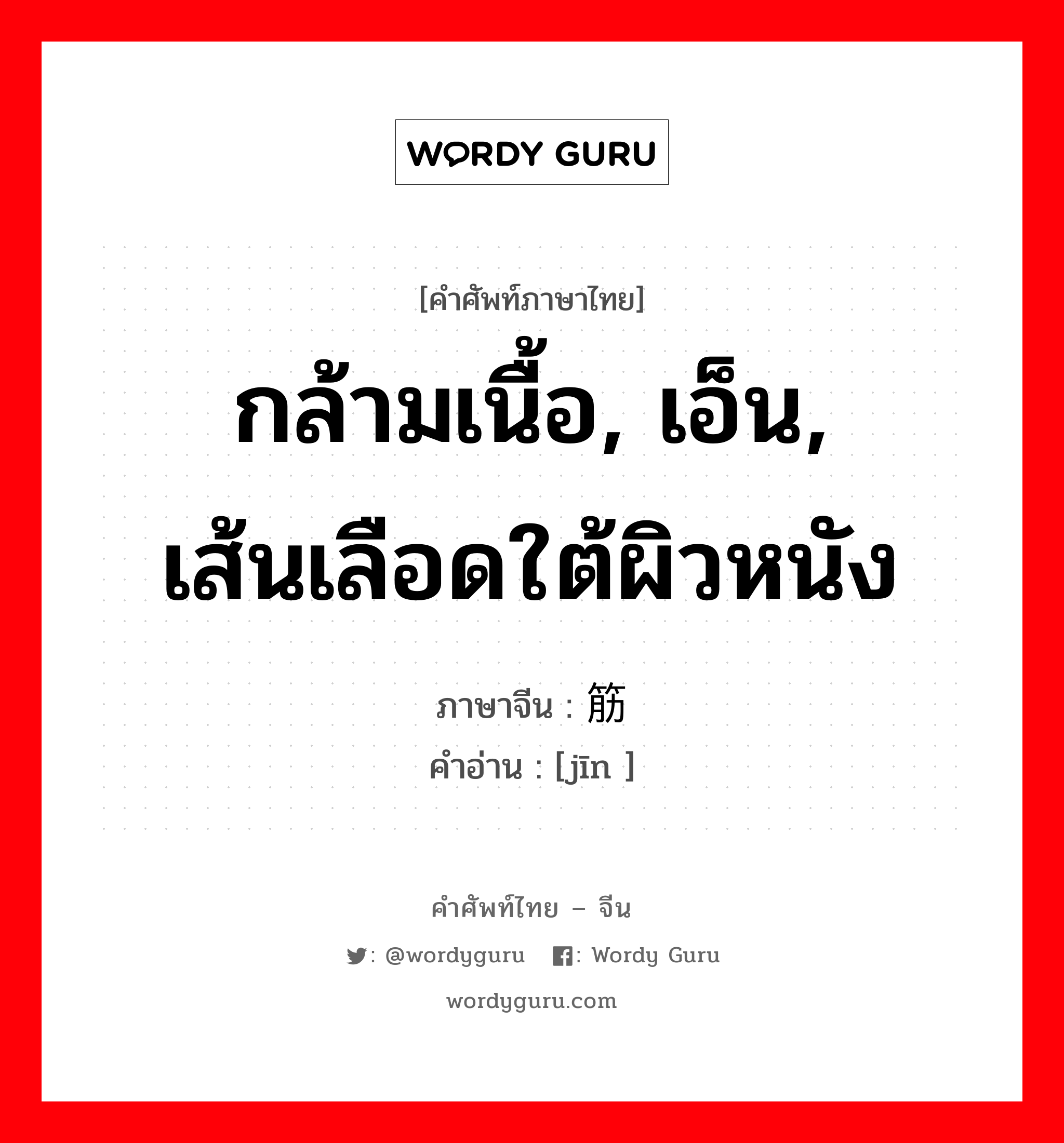 กล้ามเนื้อ, เอ็น, เส้นเลือดใต้ผิวหนัง ภาษาจีนคืออะไร, คำศัพท์ภาษาไทย - จีน กล้ามเนื้อ, เอ็น, เส้นเลือดใต้ผิวหนัง ภาษาจีน 筋 คำอ่าน [jīn ]