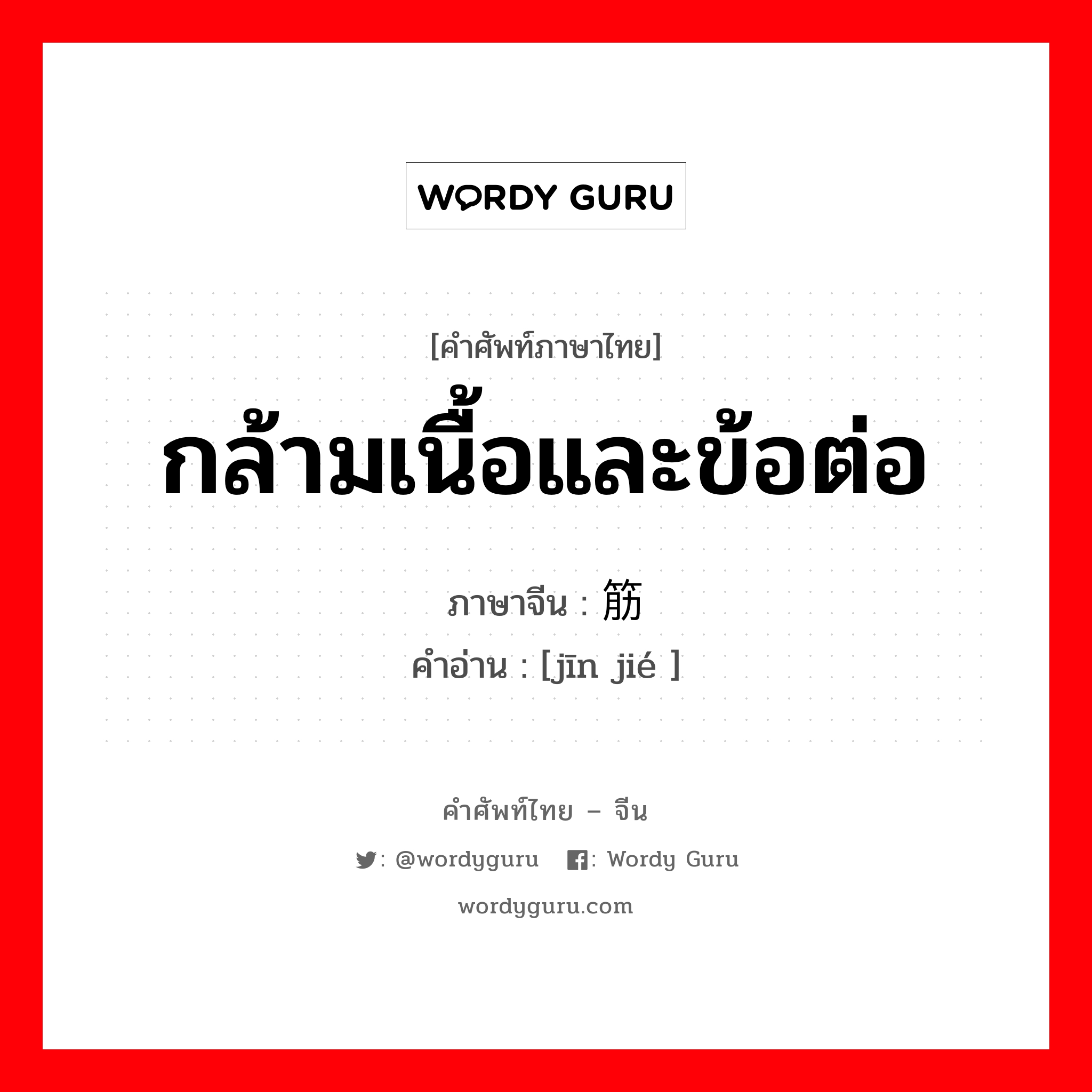 筋节 ภาษาไทย?, คำศัพท์ภาษาไทย - จีน 筋节 ภาษาจีน กล้ามเนื้อและข้อต่อ คำอ่าน [jīn jié ]