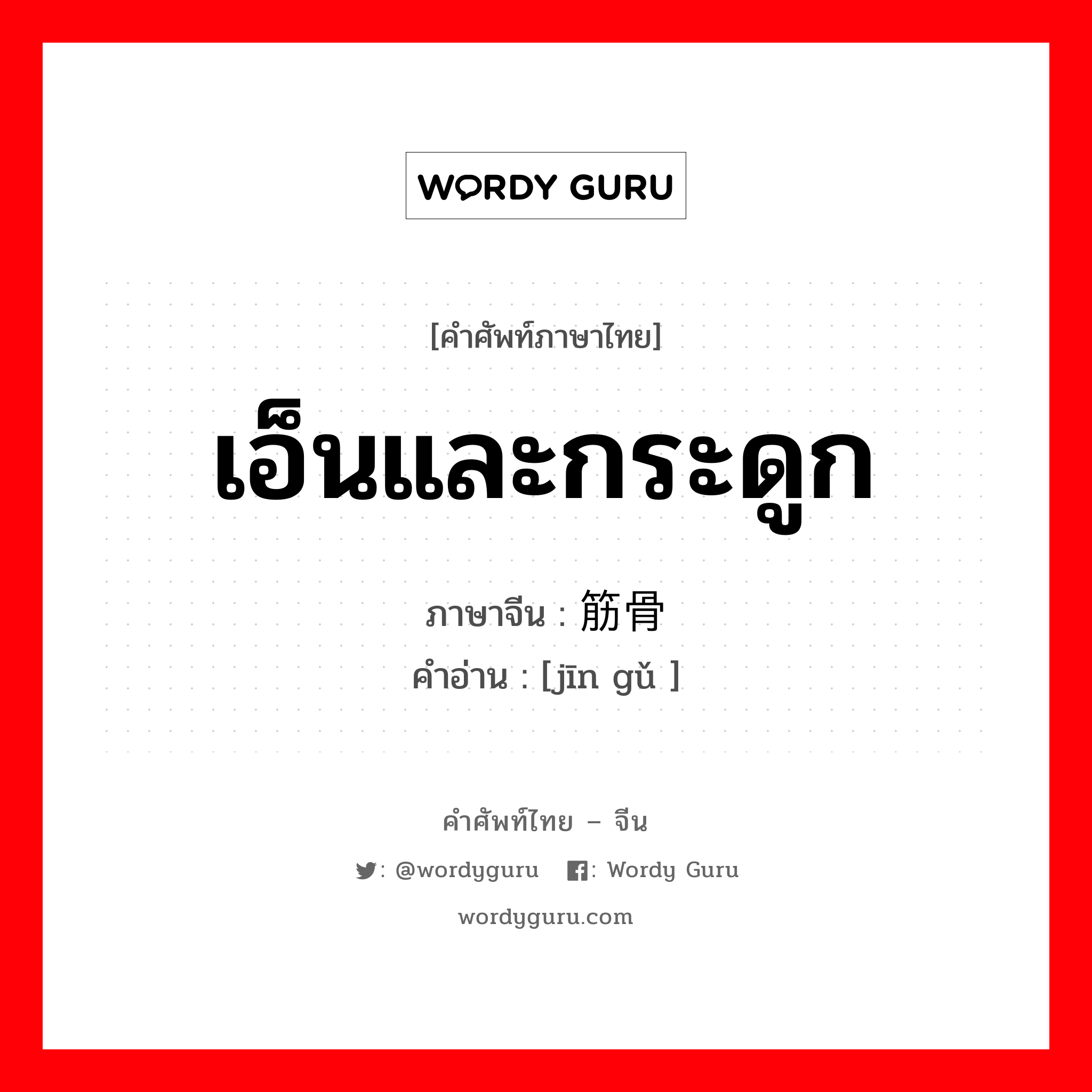 เอ็นและกระดูก ภาษาจีนคืออะไร, คำศัพท์ภาษาไทย - จีน เอ็นและกระดูก ภาษาจีน 筋骨 คำอ่าน [jīn gǔ ]