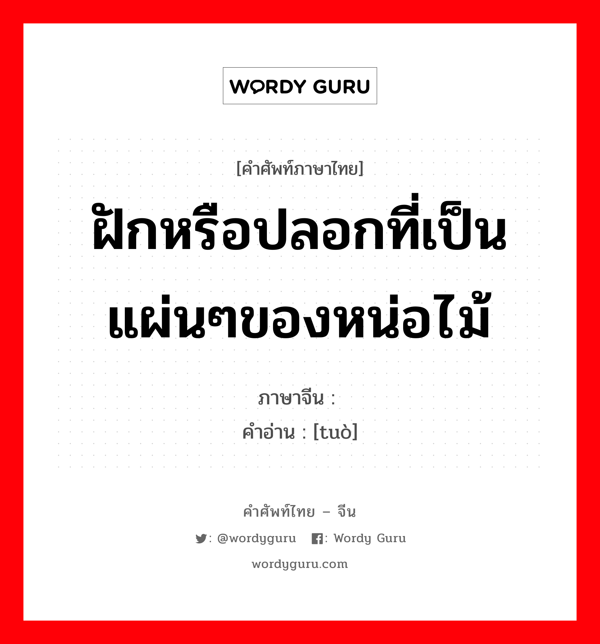 ฝักหรือปลอกที่เป็นแผ่นๆของหน่อไม้ ภาษาจีนคืออะไร, คำศัพท์ภาษาไทย - จีน ฝักหรือปลอกที่เป็นแผ่นๆของหน่อไม้ ภาษาจีน 箨 คำอ่าน [tuò]