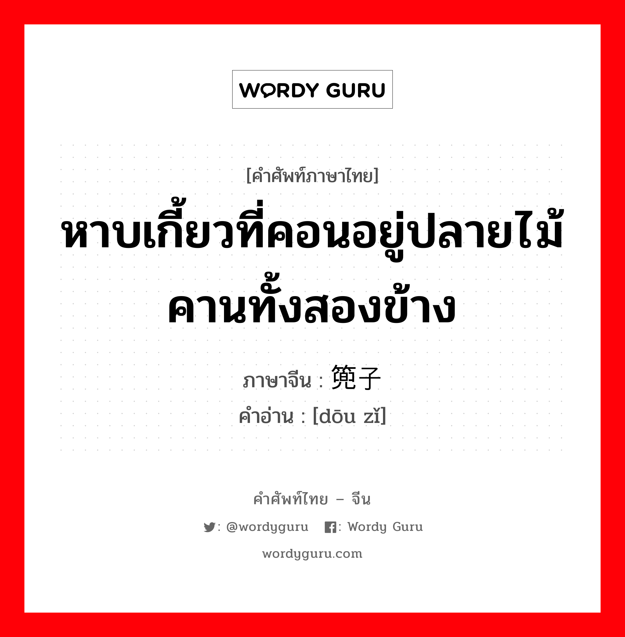 หาบเกี้ยวที่คอนอยู่ปลายไม้คานทั้งสองข้าง ภาษาจีนคืออะไร, คำศัพท์ภาษาไทย - จีน หาบเกี้ยวที่คอนอยู่ปลายไม้คานทั้งสองข้าง ภาษาจีน 篼子 คำอ่าน [dōu zǐ]