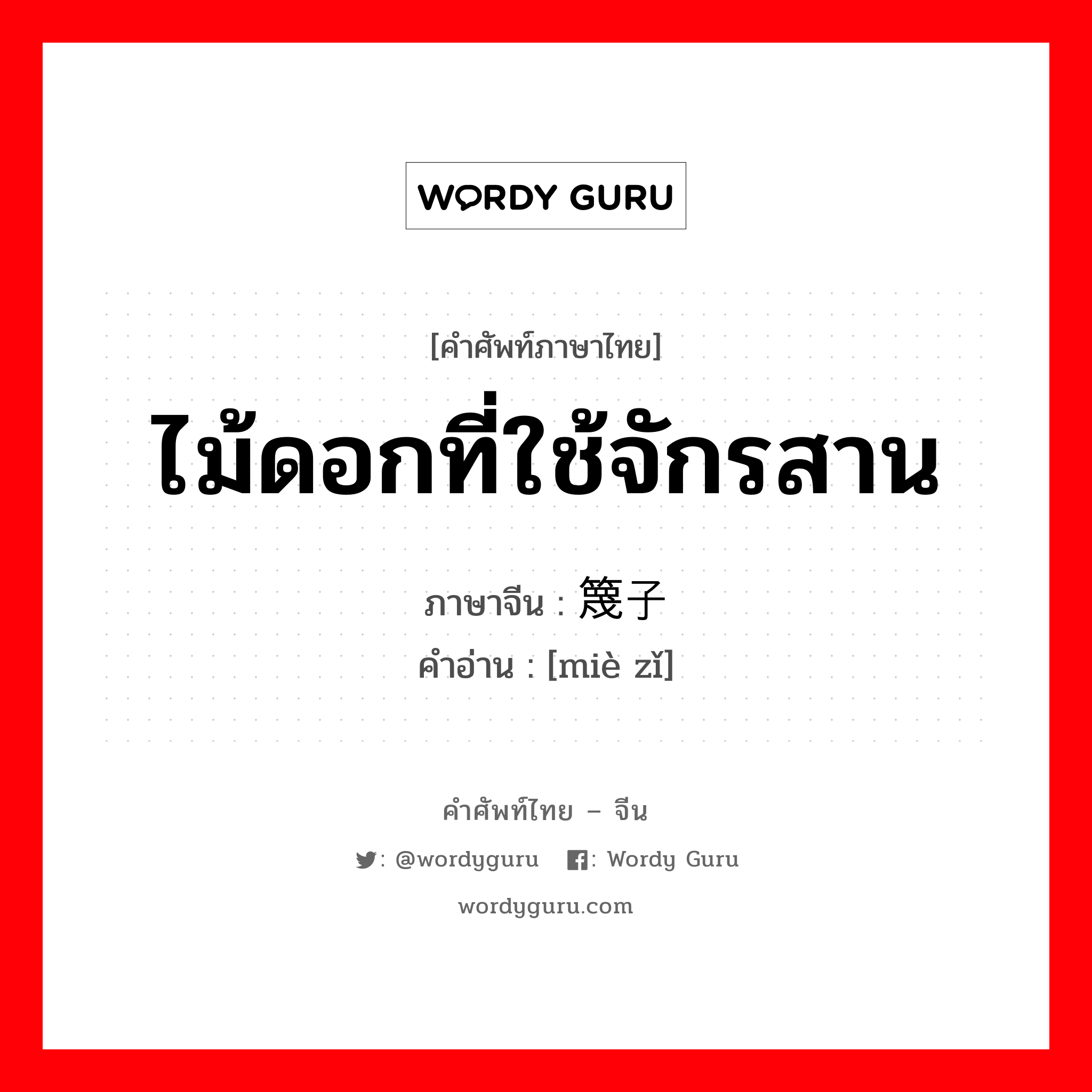 ไม้ดอกที่ใช้จักรสาน ภาษาจีนคืออะไร, คำศัพท์ภาษาไทย - จีน ไม้ดอกที่ใช้จักรสาน ภาษาจีน 篾子 คำอ่าน [miè zǐ]