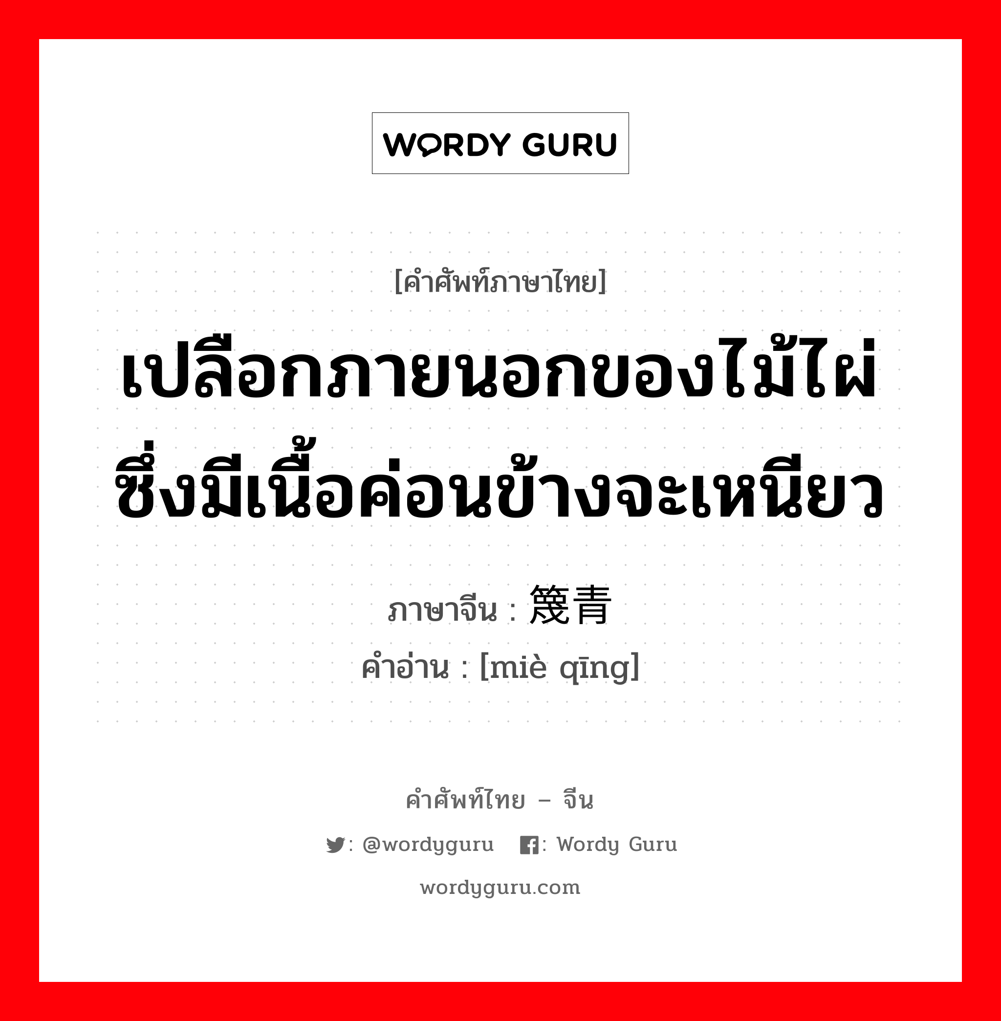 เปลือกภายนอกของไม้ไผ่ซึ่งมีเนื้อค่อนข้างจะเหนียว ภาษาจีนคืออะไร, คำศัพท์ภาษาไทย - จีน เปลือกภายนอกของไม้ไผ่ซึ่งมีเนื้อค่อนข้างจะเหนียว ภาษาจีน 篾青 คำอ่าน [miè qīng]