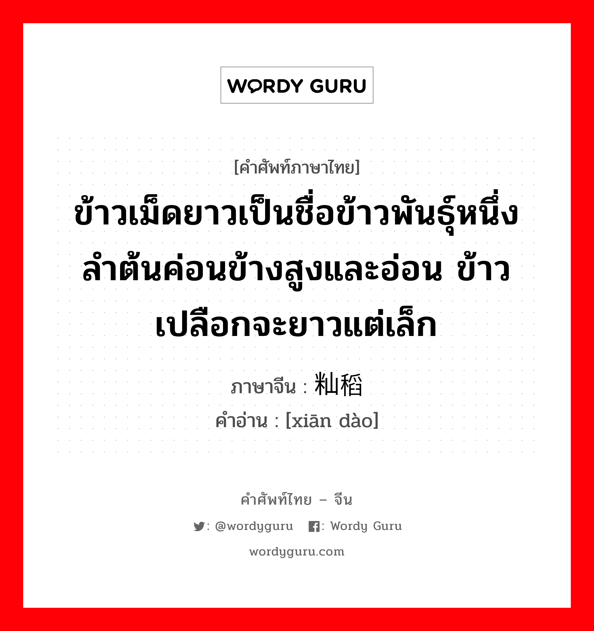 ข้าวเม็ดยาวเป็นชื่อข้าวพันธุ์หนึ่งลำต้นค่อนข้างสูงและอ่อน ข้าวเปลือกจะยาวแต่เล็ก ภาษาจีนคืออะไร, คำศัพท์ภาษาไทย - จีน ข้าวเม็ดยาวเป็นชื่อข้าวพันธุ์หนึ่งลำต้นค่อนข้างสูงและอ่อน ข้าวเปลือกจะยาวแต่เล็ก ภาษาจีน 籼稻 คำอ่าน [xiān dào]