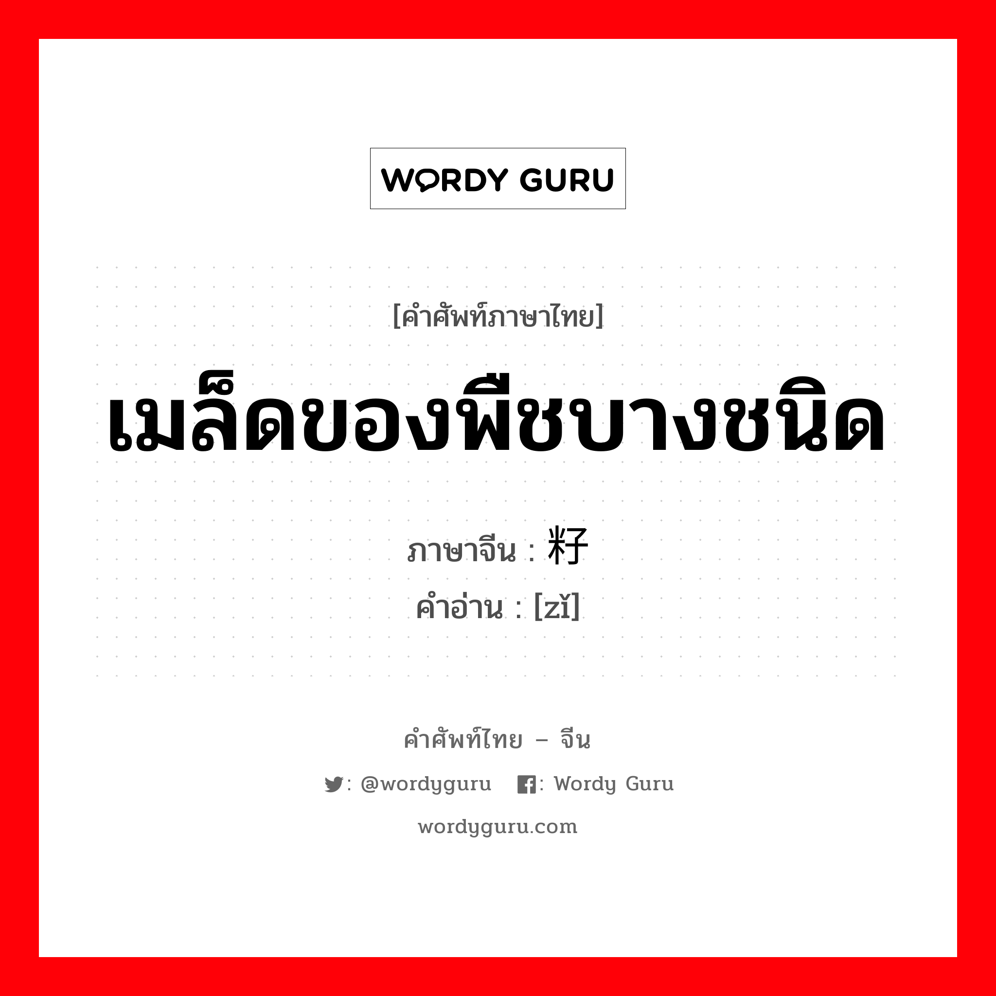 เมล็ดของพืชบางชนิด ภาษาจีนคืออะไร, คำศัพท์ภาษาไทย - จีน เมล็ดของพืชบางชนิด ภาษาจีน 籽 คำอ่าน [zǐ]