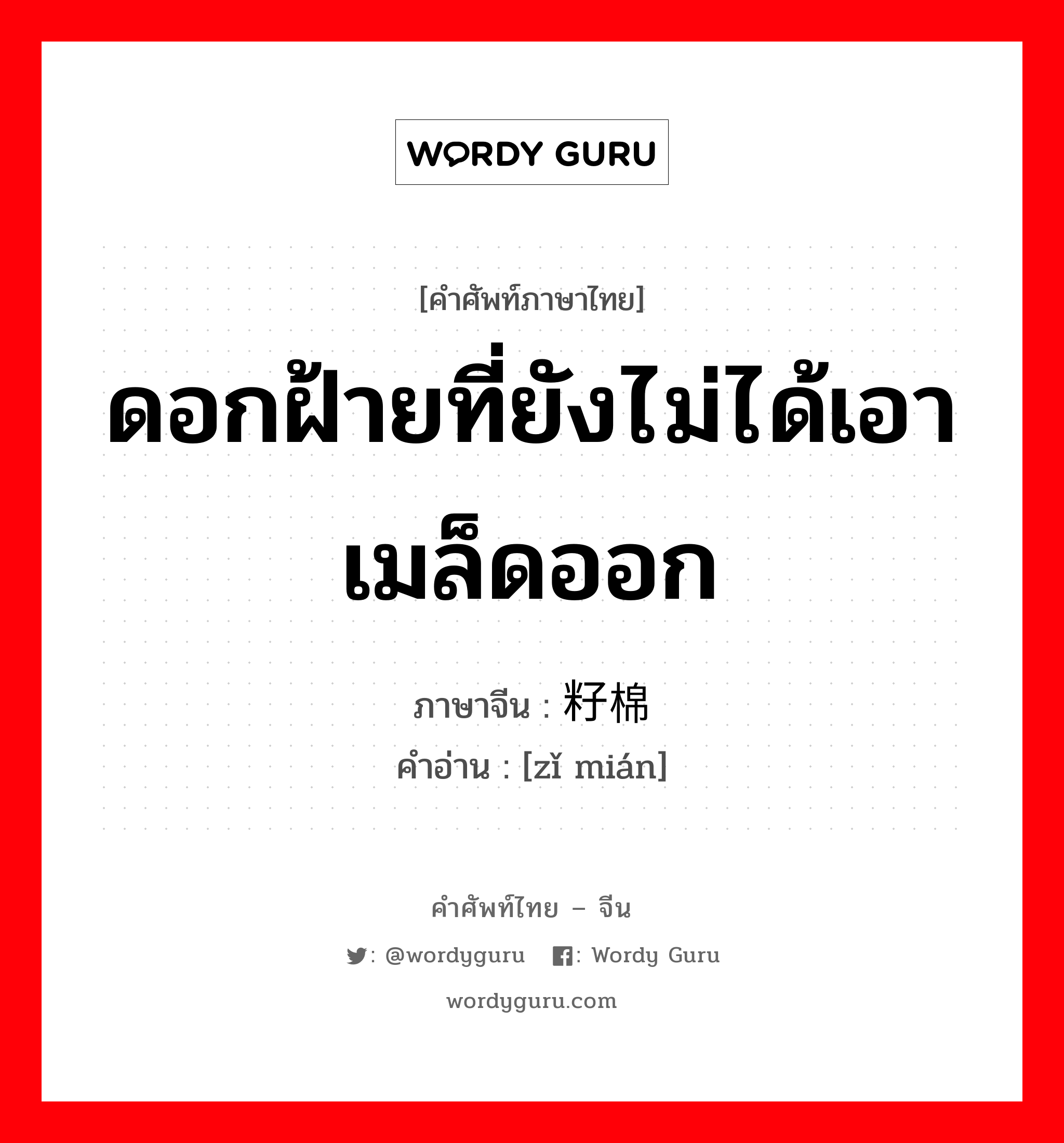 ดอกฝ้ายที่ยังไม่ได้เอาเมล็ดออก ภาษาจีนคืออะไร, คำศัพท์ภาษาไทย - จีน ดอกฝ้ายที่ยังไม่ได้เอาเมล็ดออก ภาษาจีน 籽棉 คำอ่าน [zǐ mián]