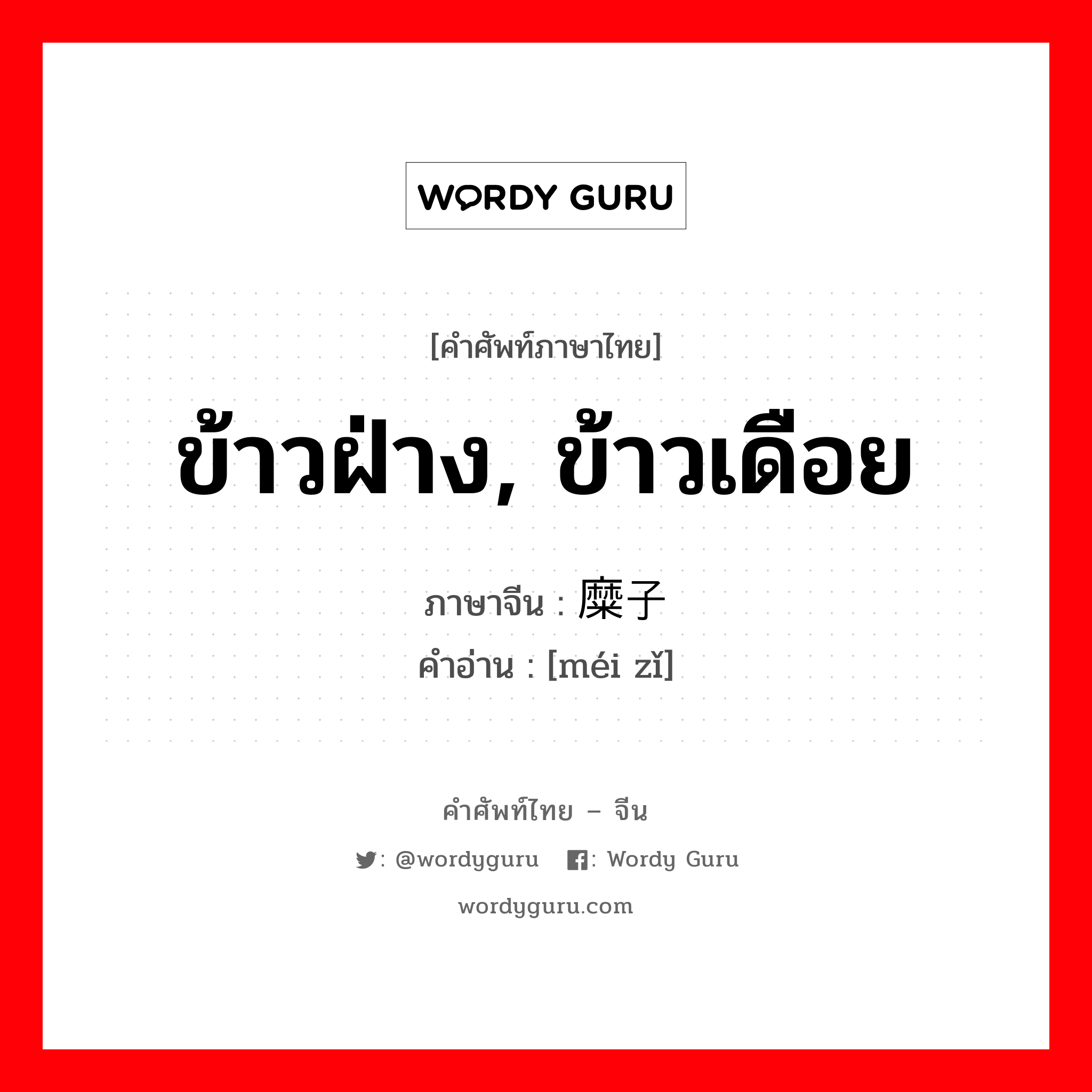 ข้าวฝ่าง, ข้าวเดือย ภาษาจีนคืออะไร, คำศัพท์ภาษาไทย - จีน ข้าวฝ่าง, ข้าวเดือย ภาษาจีน 糜子 คำอ่าน [méi zǐ]