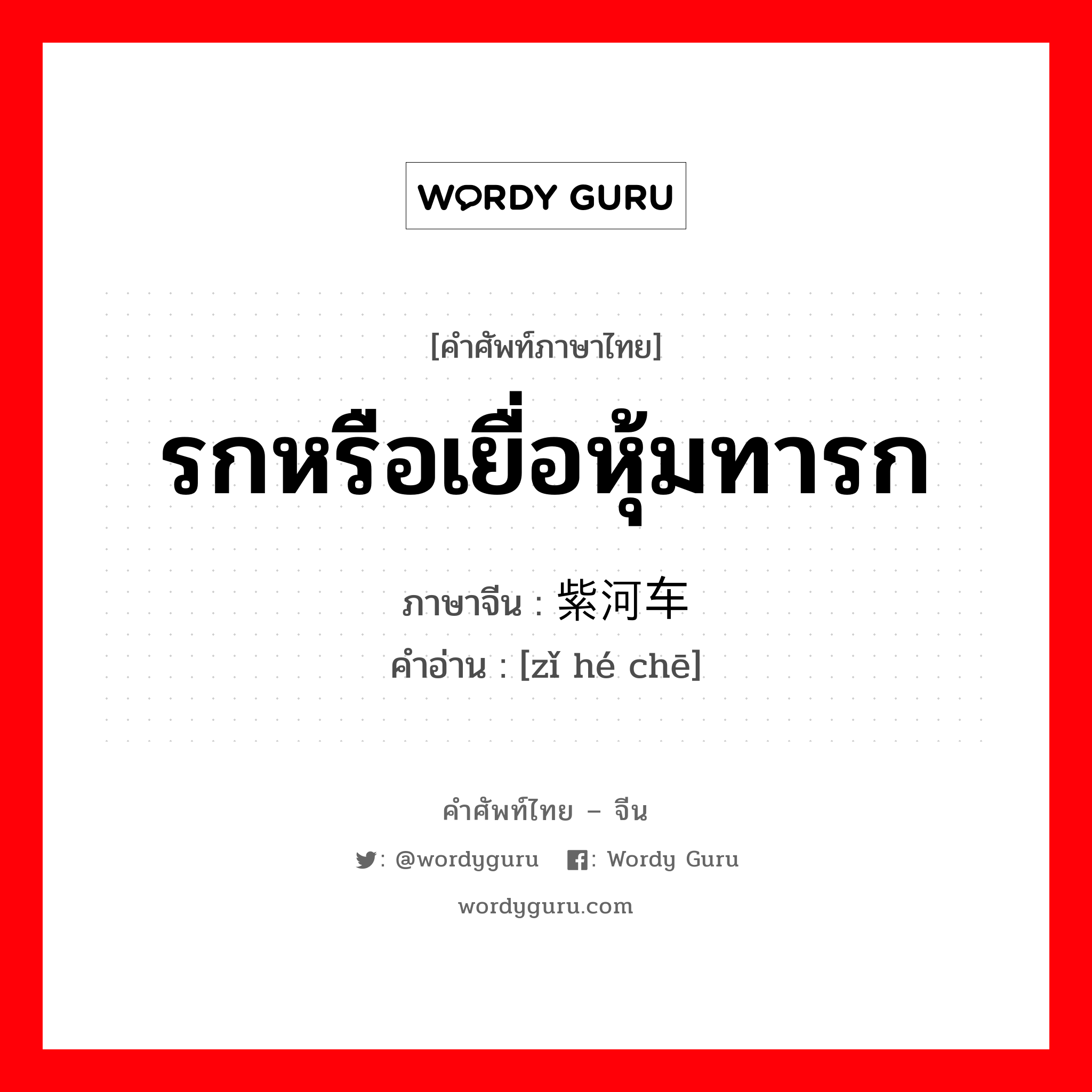 รกหรือเยื่อหุ้มทารก ภาษาจีนคืออะไร, คำศัพท์ภาษาไทย - จีน รกหรือเยื่อหุ้มทารก ภาษาจีน 紫河车 คำอ่าน [zǐ hé chē]