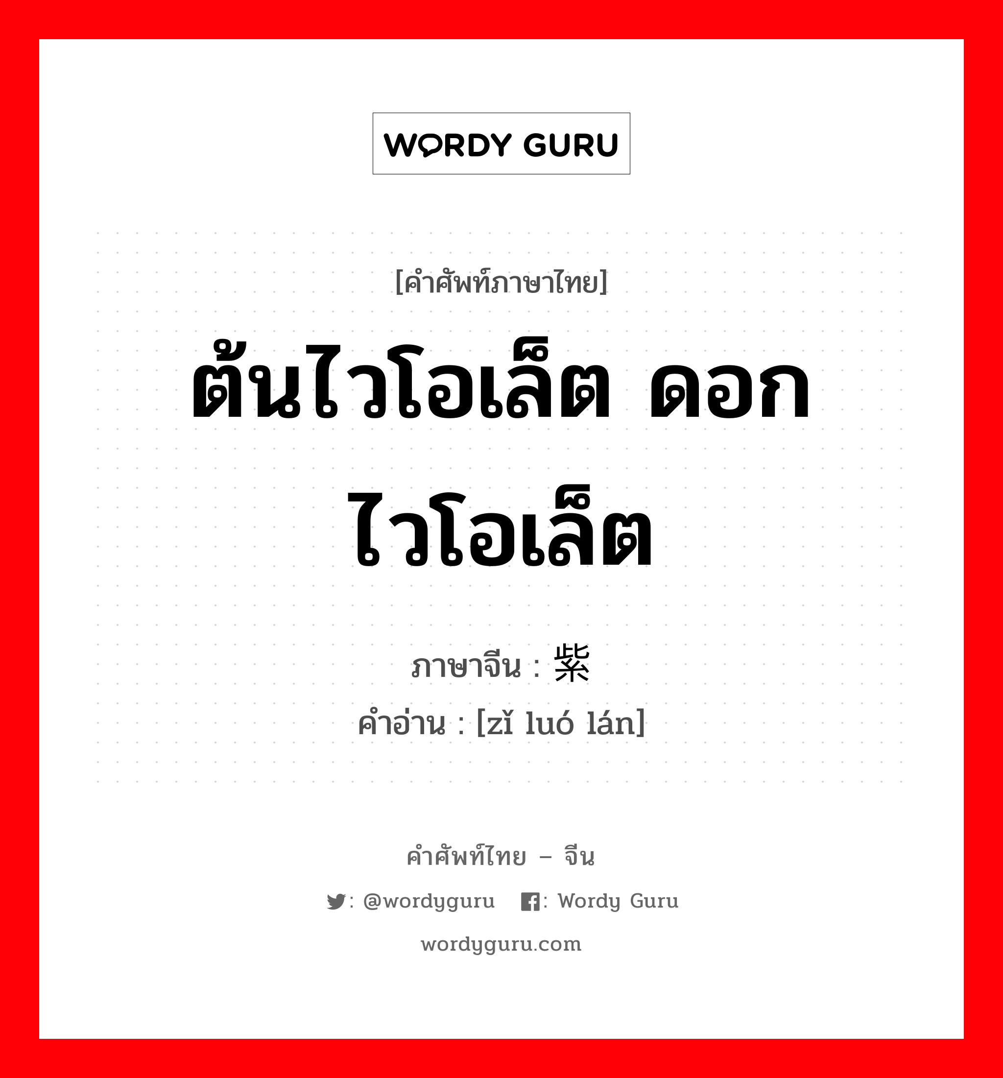 ต้นไวโอเล็ต ดอกไวโอเล็ต ภาษาจีนคืออะไร, คำศัพท์ภาษาไทย - จีน ต้นไวโอเล็ต ดอกไวโอเล็ต ภาษาจีน 紫罗兰 คำอ่าน [zǐ luó lán]