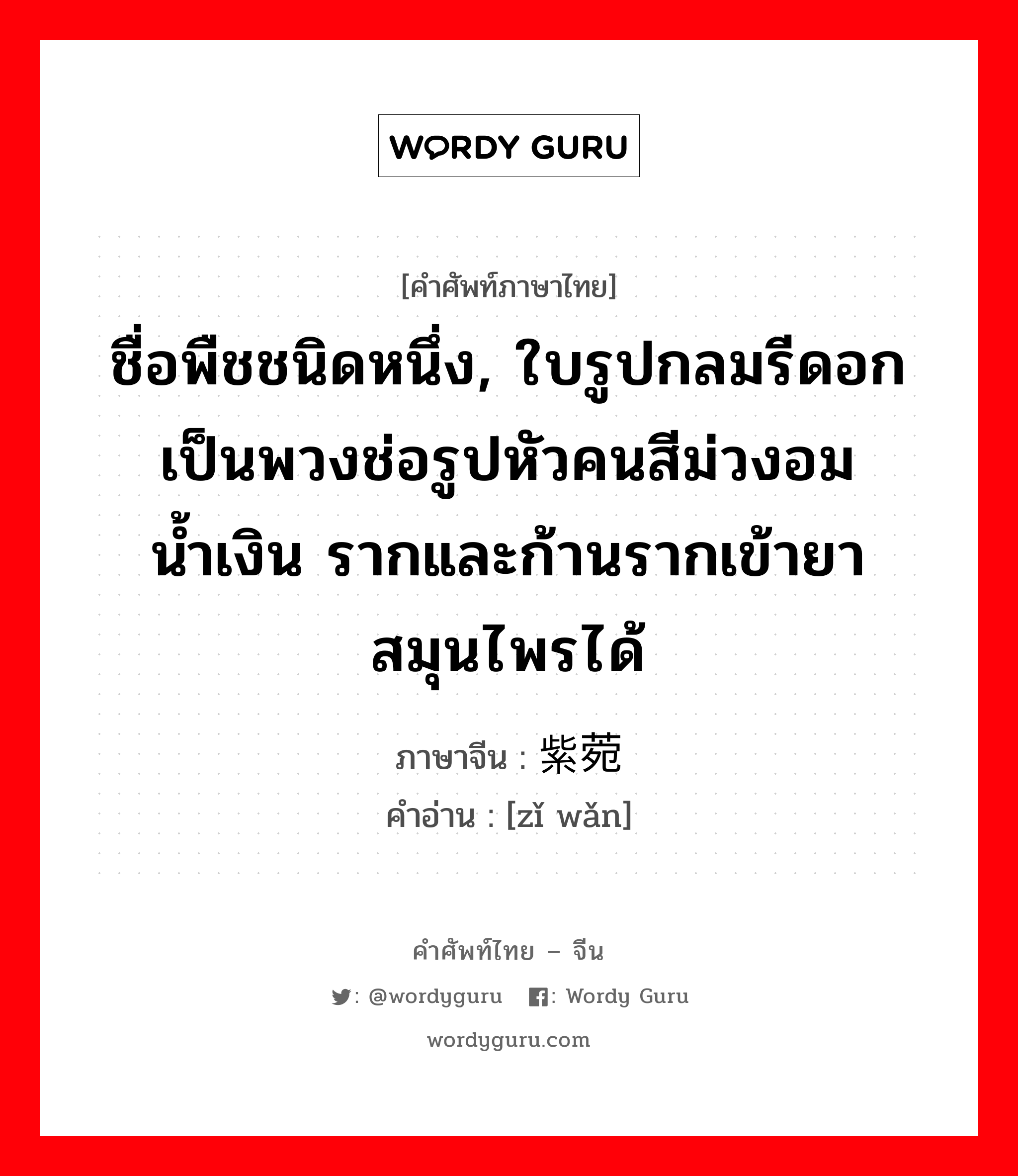 ชื่อพืชชนิดหนึ่ง, ใบรูปกลมรีดอกเป็นพวงช่อรูปหัวคนสีม่วงอมน้ำเงิน รากและก้านรากเข้ายาสมุนไพรได้ ภาษาจีนคืออะไร, คำศัพท์ภาษาไทย - จีน ชื่อพืชชนิดหนึ่ง, ใบรูปกลมรีดอกเป็นพวงช่อรูปหัวคนสีม่วงอมน้ำเงิน รากและก้านรากเข้ายาสมุนไพรได้ ภาษาจีน 紫菀 คำอ่าน [zǐ wǎn]