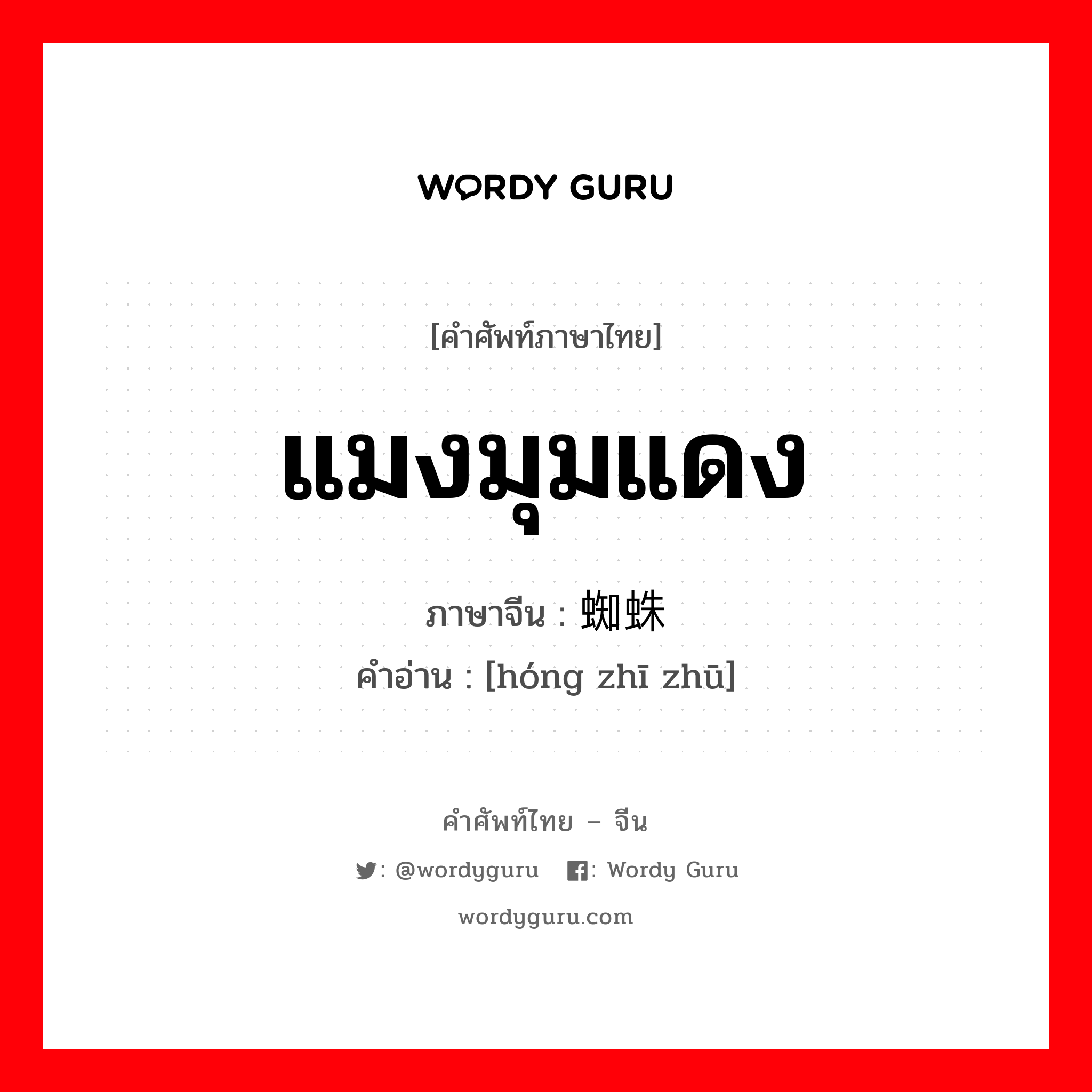 แมงมุมแดง ภาษาจีนคืออะไร, คำศัพท์ภาษาไทย - จีน แมงมุมแดง ภาษาจีน 红蜘蛛 คำอ่าน [hóng zhī zhū]