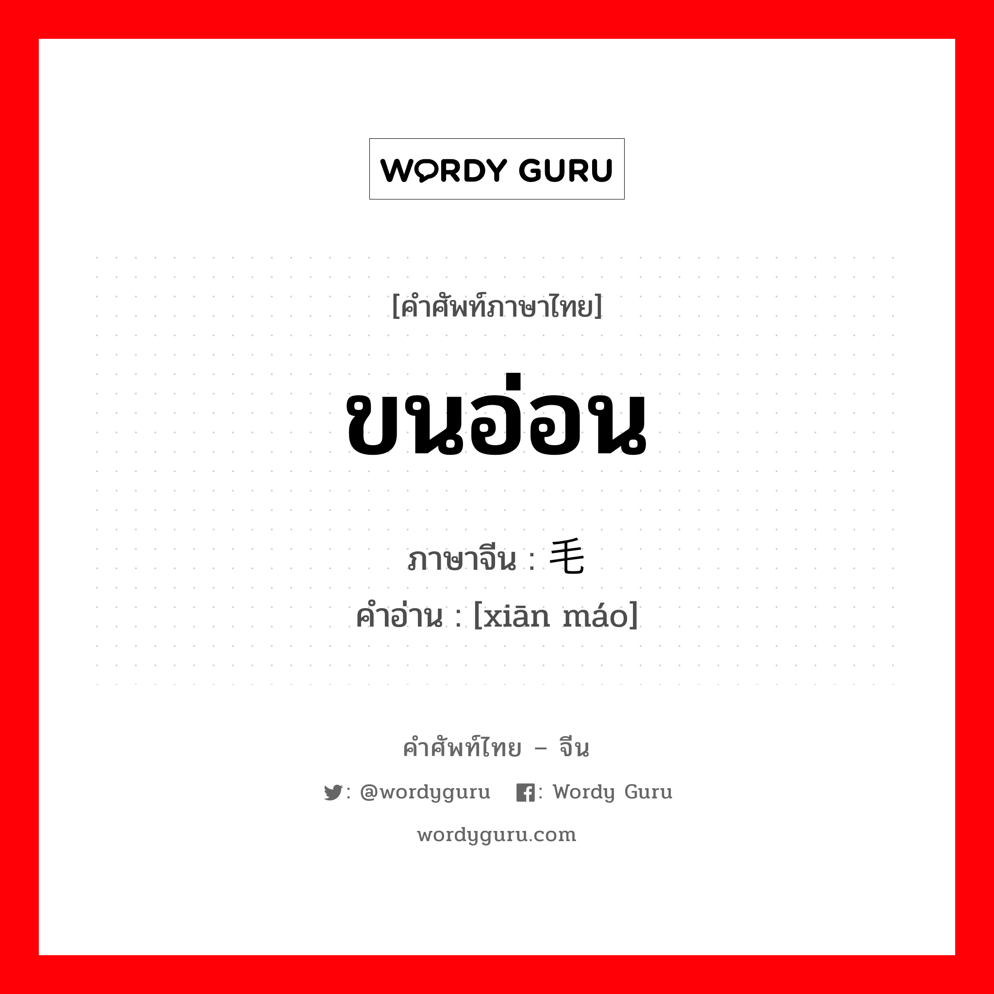 ขนอ่อน ภาษาจีนคืออะไร, คำศัพท์ภาษาไทย - จีน ขนอ่อน ภาษาจีน 纤毛 คำอ่าน [xiān máo]