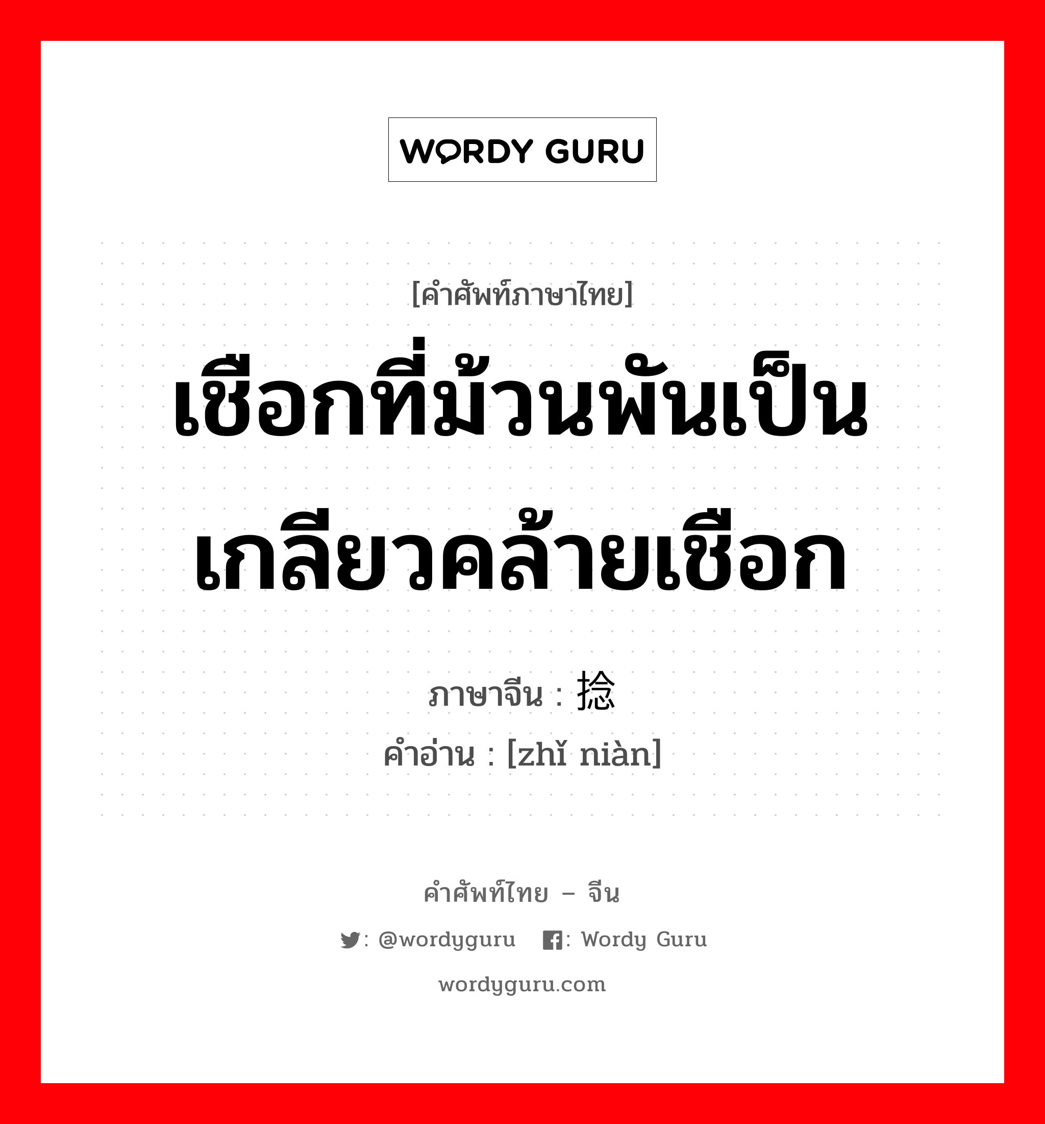 เชือกที่ม้วนพันเป็นเกลียวคล้ายเชือก ภาษาจีนคืออะไร, คำศัพท์ภาษาไทย - จีน เชือกที่ม้วนพันเป็นเกลียวคล้ายเชือก ภาษาจีน 纸捻 คำอ่าน [zhǐ niàn]