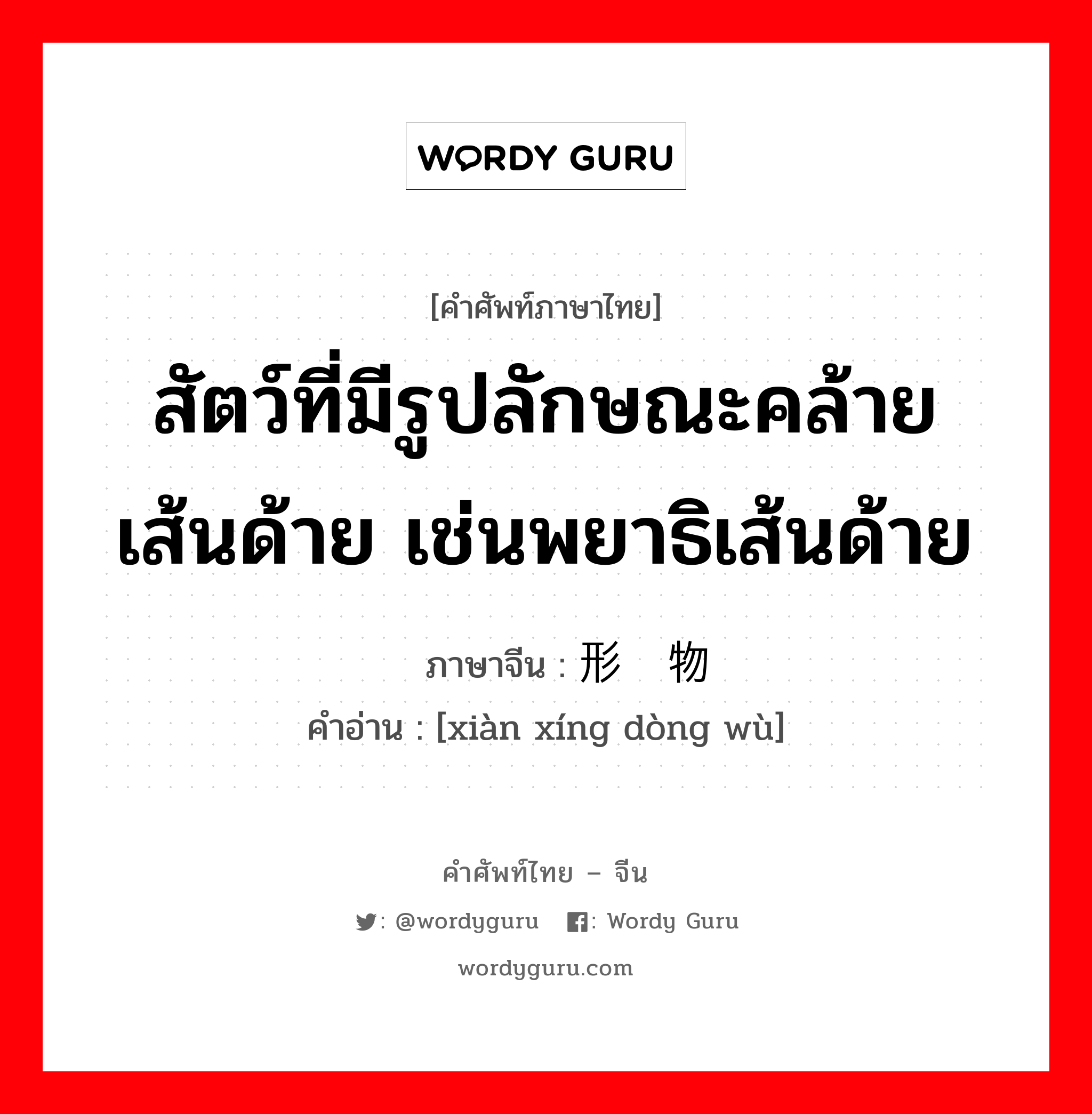 สัตว์ที่มีรูปลักษณะคล้ายเส้นด้าย เช่นพยาธิเส้นด้าย ภาษาจีนคืออะไร, คำศัพท์ภาษาไทย - จีน สัตว์ที่มีรูปลักษณะคล้ายเส้นด้าย เช่นพยาธิเส้นด้าย ภาษาจีน 线形动物 คำอ่าน [xiàn xíng dòng wù]