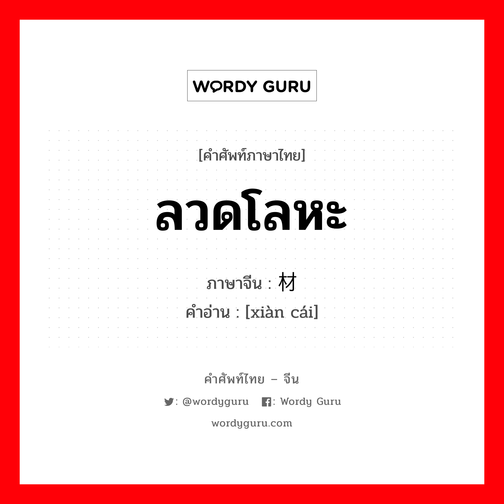 ลวดโลหะ ภาษาจีนคืออะไร, คำศัพท์ภาษาไทย - จีน ลวดโลหะ ภาษาจีน 线材 คำอ่าน [xiàn cái]