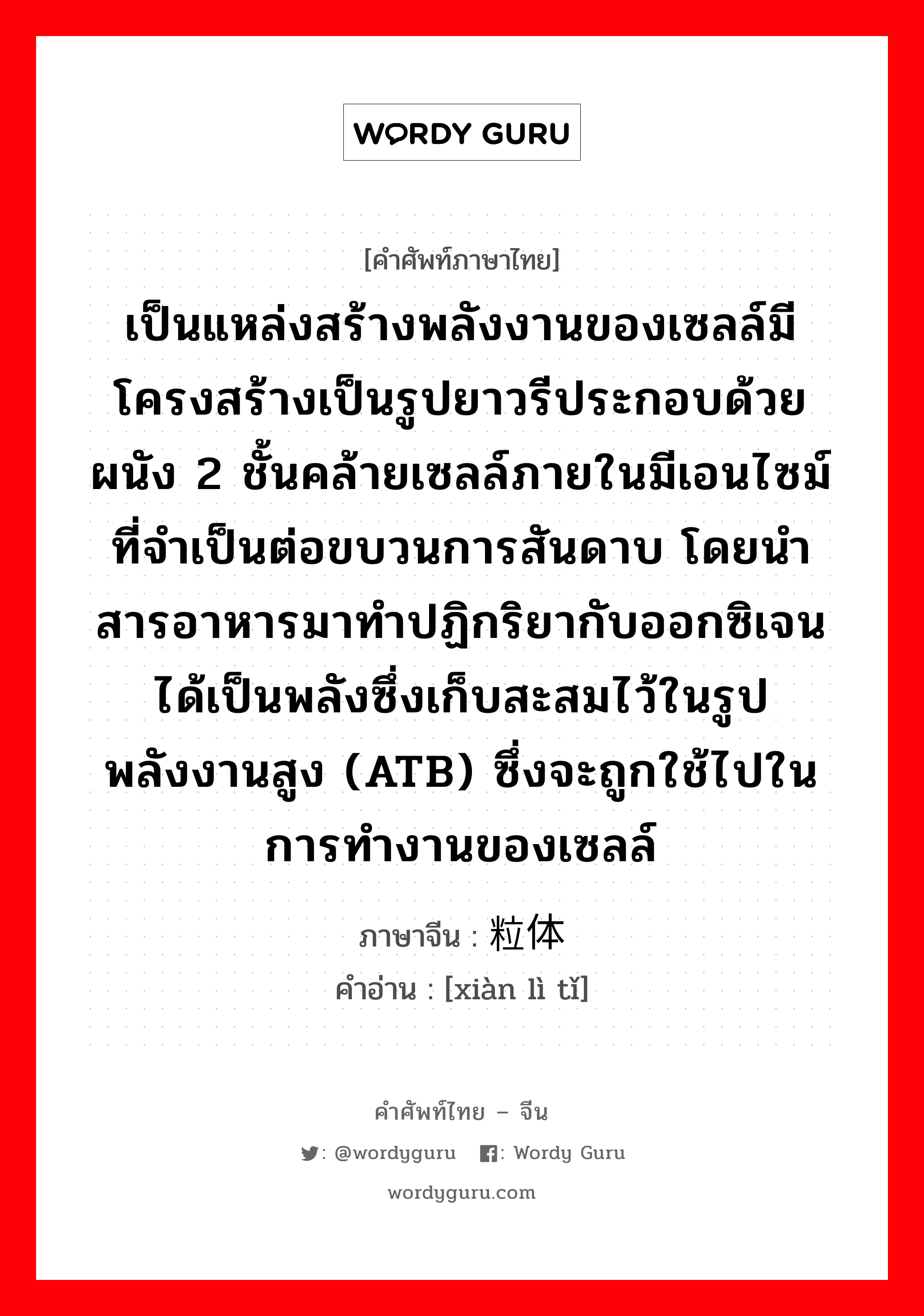 เป็นแหล่งสร้างพลังงานของเซลล์มีโครงสร้างเป็นรูปยาวรีประกอบด้วยผนัง 2 ชั้นคล้ายเซลล์ภายในมีเอนไซม์ที่จำเป็นต่อขบวนการสันดาบ โดยนำสารอาหารมาทำปฏิกริยากับออกซิเจน ได้เป็นพลังซึ่งเก็บสะสมไว้ในรูปพลังงานสูง (ATB) ซึ่งจะถูกใช้ไปในการทำงานของเซลล์ ภาษาจีนคืออะไร, คำศัพท์ภาษาไทย - จีน เป็นแหล่งสร้างพลังงานของเซลล์มีโครงสร้างเป็นรูปยาวรีประกอบด้วยผนัง 2 ชั้นคล้ายเซลล์ภายในมีเอนไซม์ที่จำเป็นต่อขบวนการสันดาบ โดยนำสารอาหารมาทำปฏิกริยากับออกซิเจน ได้เป็นพลังซึ่งเก็บสะสมไว้ในรูปพลังงานสูง (ATB) ซึ่งจะถูกใช้ไปในการทำงานของเซลล์ ภาษาจีน 线粒体 คำอ่าน [xiàn lì tǐ]