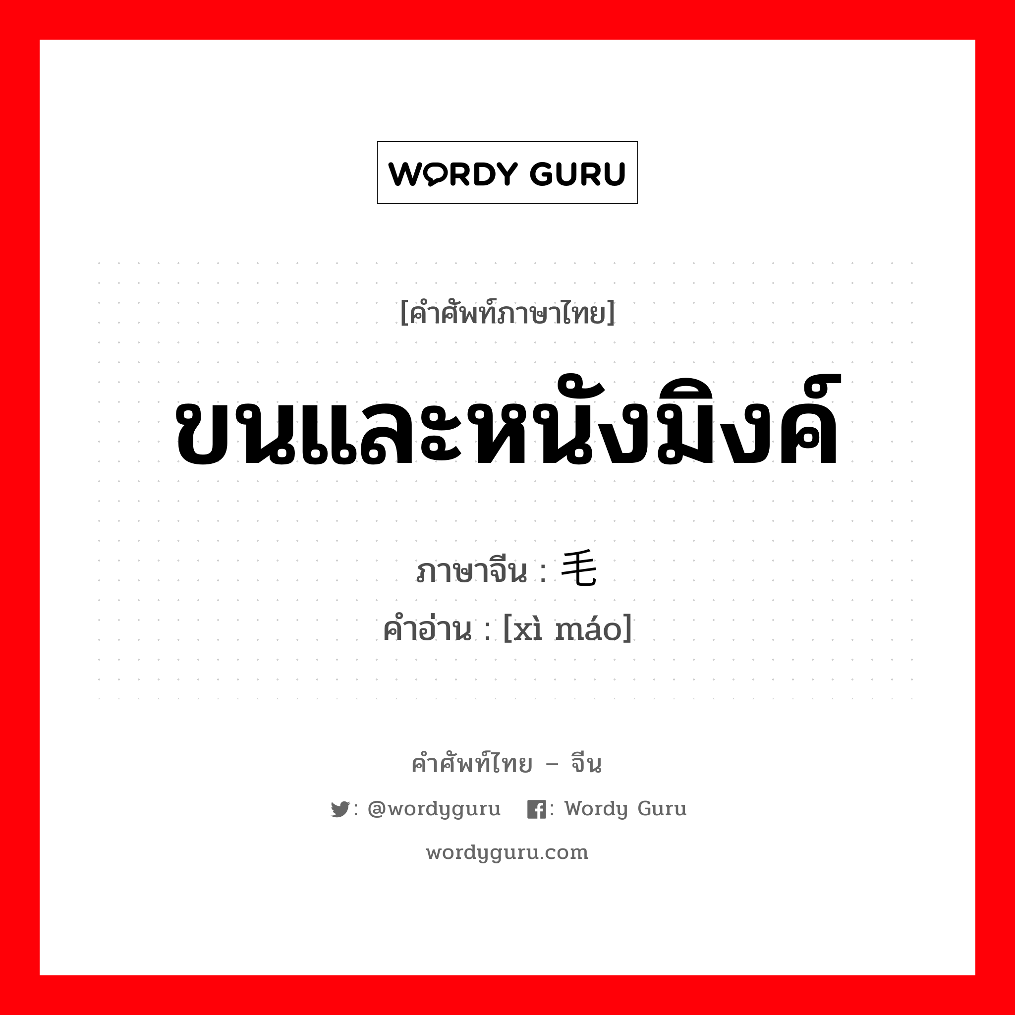 ขนและหนังมิงค์ ภาษาจีนคืออะไร, คำศัพท์ภาษาไทย - จีน ขนและหนังมิงค์ ภาษาจีน 细毛 คำอ่าน [xì máo]