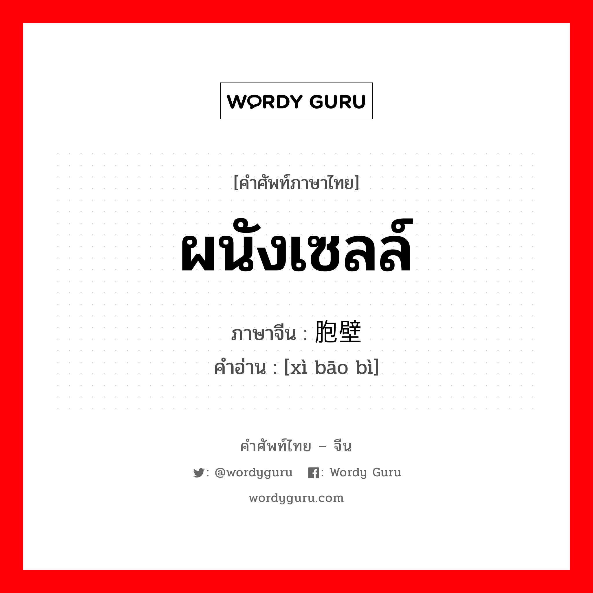 ผนังเซลล์ ภาษาจีนคืออะไร, คำศัพท์ภาษาไทย - จีน ผนังเซลล์ ภาษาจีน 细胞壁 คำอ่าน [xì bāo bì]