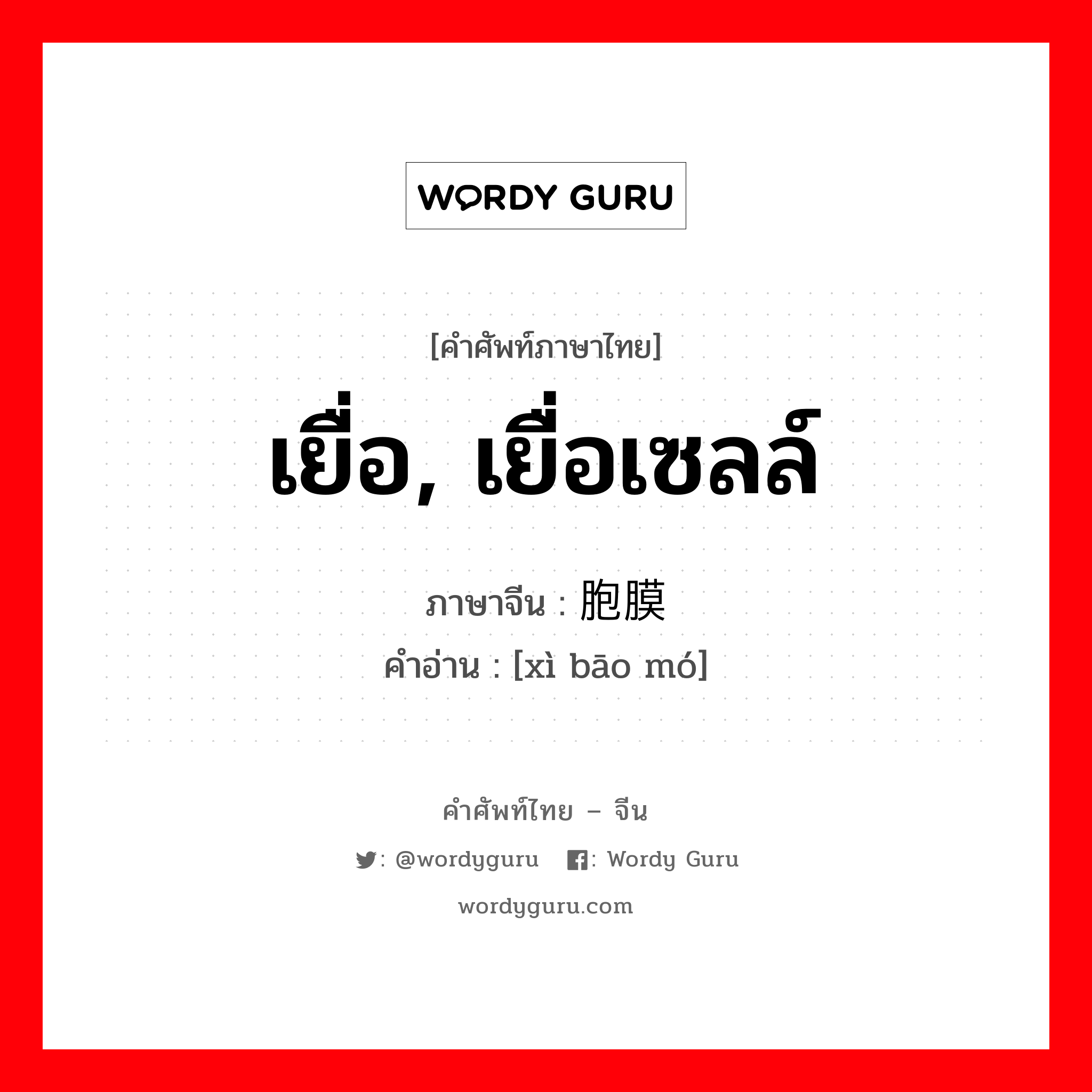 เยื่อ, เยื่อเซลล์ ภาษาจีนคืออะไร, คำศัพท์ภาษาไทย - จีน เยื่อ, เยื่อเซลล์ ภาษาจีน 细胞膜 คำอ่าน [xì bāo mó]