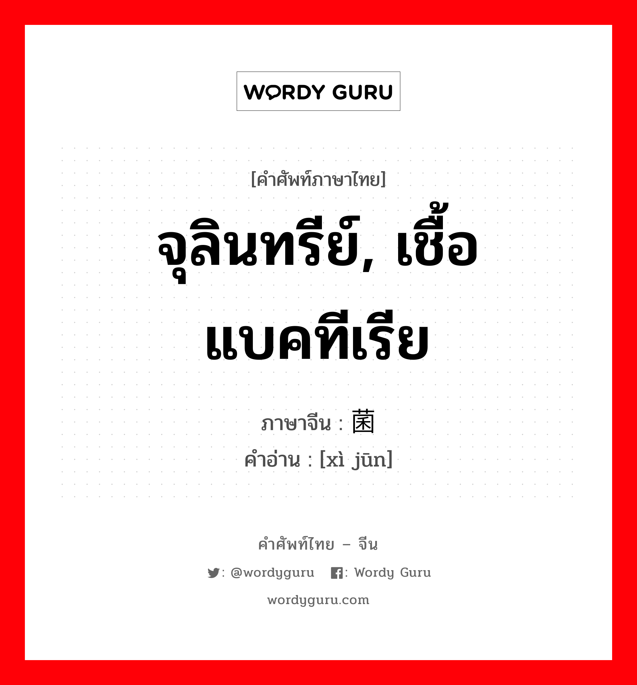 จุลินทรีย์, เชื้อแบคทีเรีย ภาษาจีนคืออะไร, คำศัพท์ภาษาไทย - จีน จุลินทรีย์, เชื้อแบคทีเรีย ภาษาจีน 细菌 คำอ่าน [xì jūn]