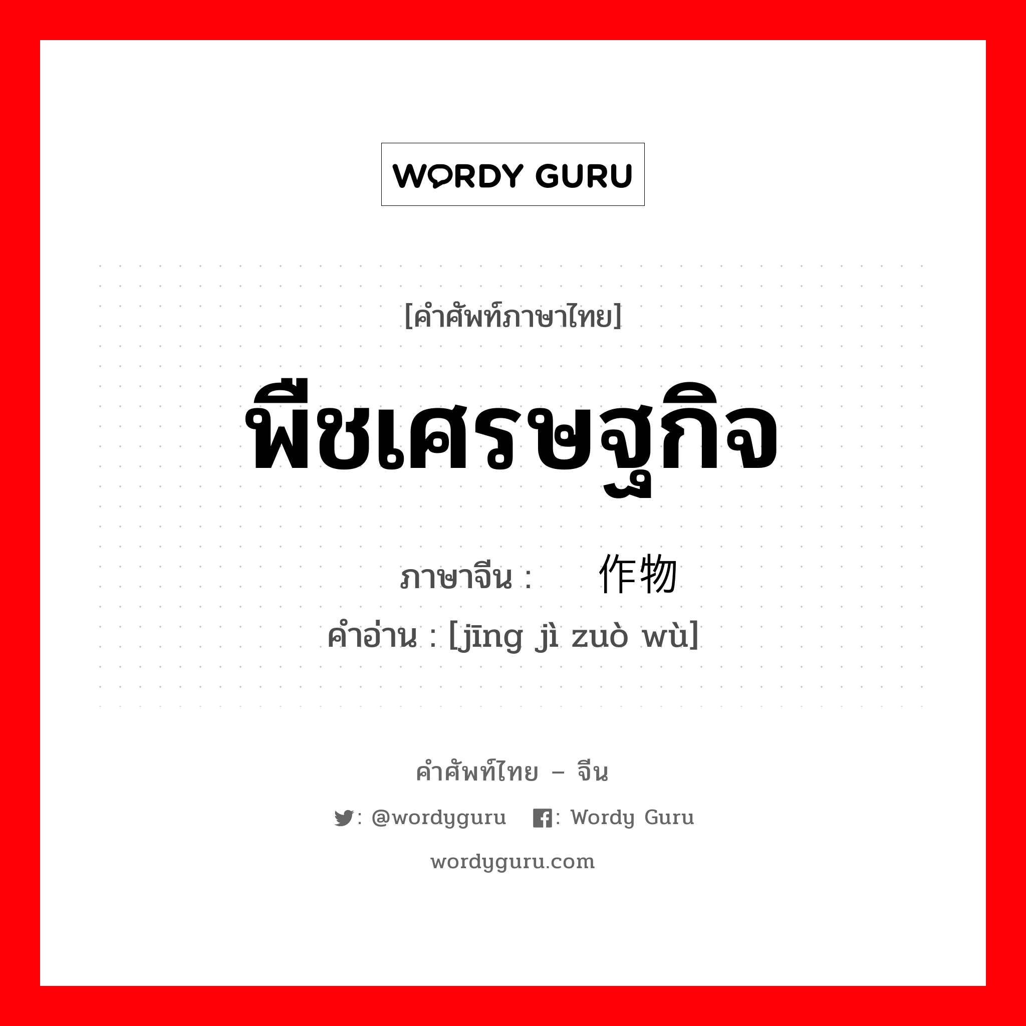 พืชเศรษฐกิจ ภาษาจีนคืออะไร, คำศัพท์ภาษาไทย - จีน พืชเศรษฐกิจ ภาษาจีน 经济作物 คำอ่าน [jīng jì zuò wù]