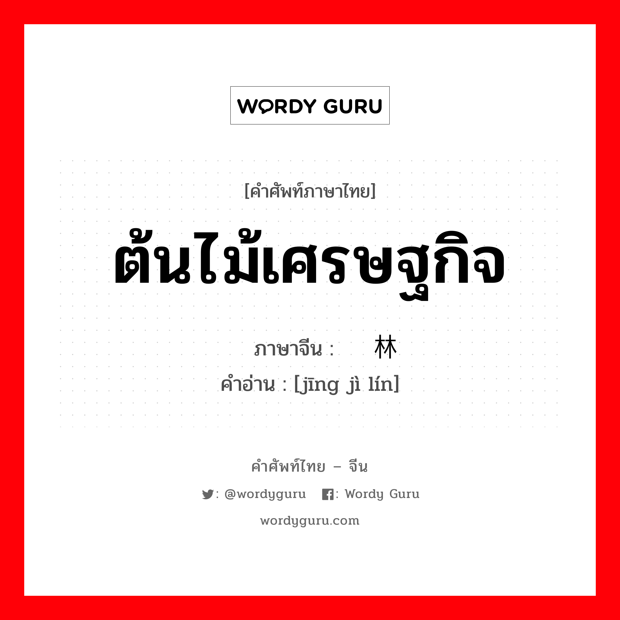 ต้นไม้เศรษฐกิจ ภาษาจีนคืออะไร, คำศัพท์ภาษาไทย - จีน ต้นไม้เศรษฐกิจ ภาษาจีน 经济林 คำอ่าน [jīng jì lín]