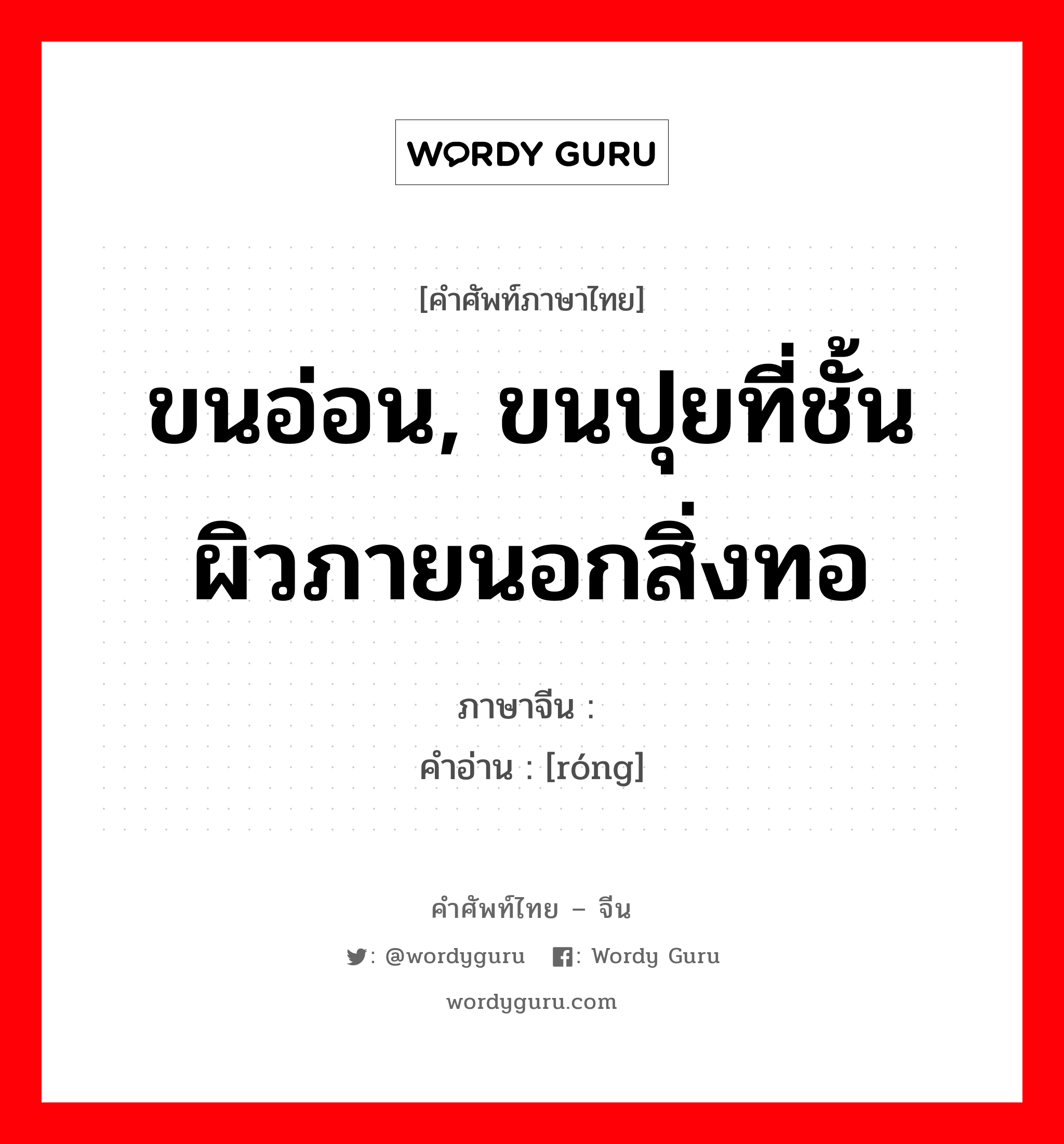 ขนอ่อน, ขนปุยที่ชั้นผิวภายนอกสิ่งทอ ภาษาจีนคืออะไร, คำศัพท์ภาษาไทย - จีน ขนอ่อน, ขนปุยที่ชั้นผิวภายนอกสิ่งทอ ภาษาจีน 绒 คำอ่าน [róng]