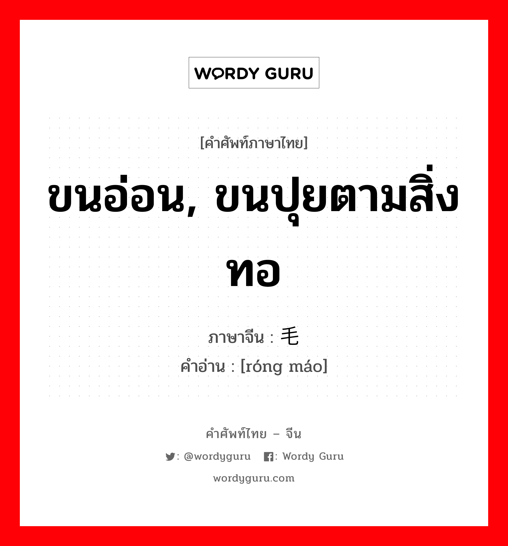 ขนอ่อน, ขนปุยตามสิ่งทอ ภาษาจีนคืออะไร, คำศัพท์ภาษาไทย - จีน ขนอ่อน, ขนปุยตามสิ่งทอ ภาษาจีน 绒毛 คำอ่าน [róng máo]