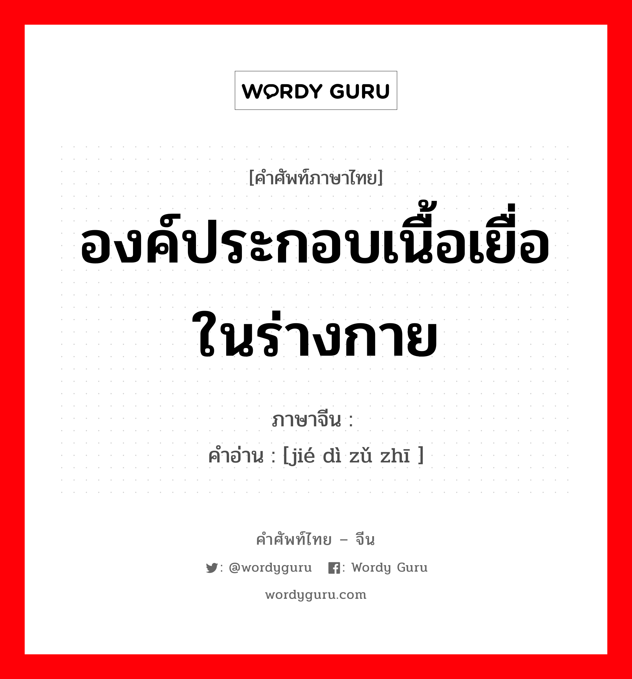 องค์ประกอบเนื้อเยื่อในร่างกาย ภาษาจีนคืออะไร, คำศัพท์ภาษาไทย - จีน องค์ประกอบเนื้อเยื่อในร่างกาย ภาษาจีน 结缔组织 คำอ่าน [jié dì zǔ zhī ]