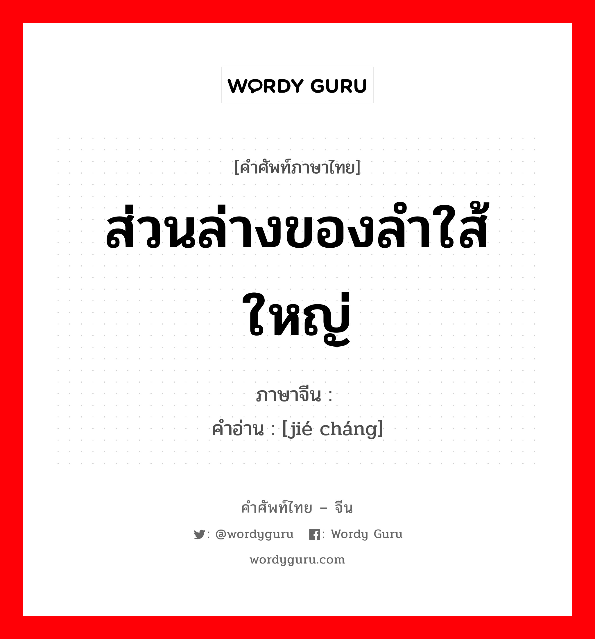 ส่วนล่างของลำใส้ใหญ่ ภาษาจีนคืออะไร, คำศัพท์ภาษาไทย - จีน ส่วนล่างของลำใส้ใหญ่ ภาษาจีน 结肠 คำอ่าน [jié cháng]