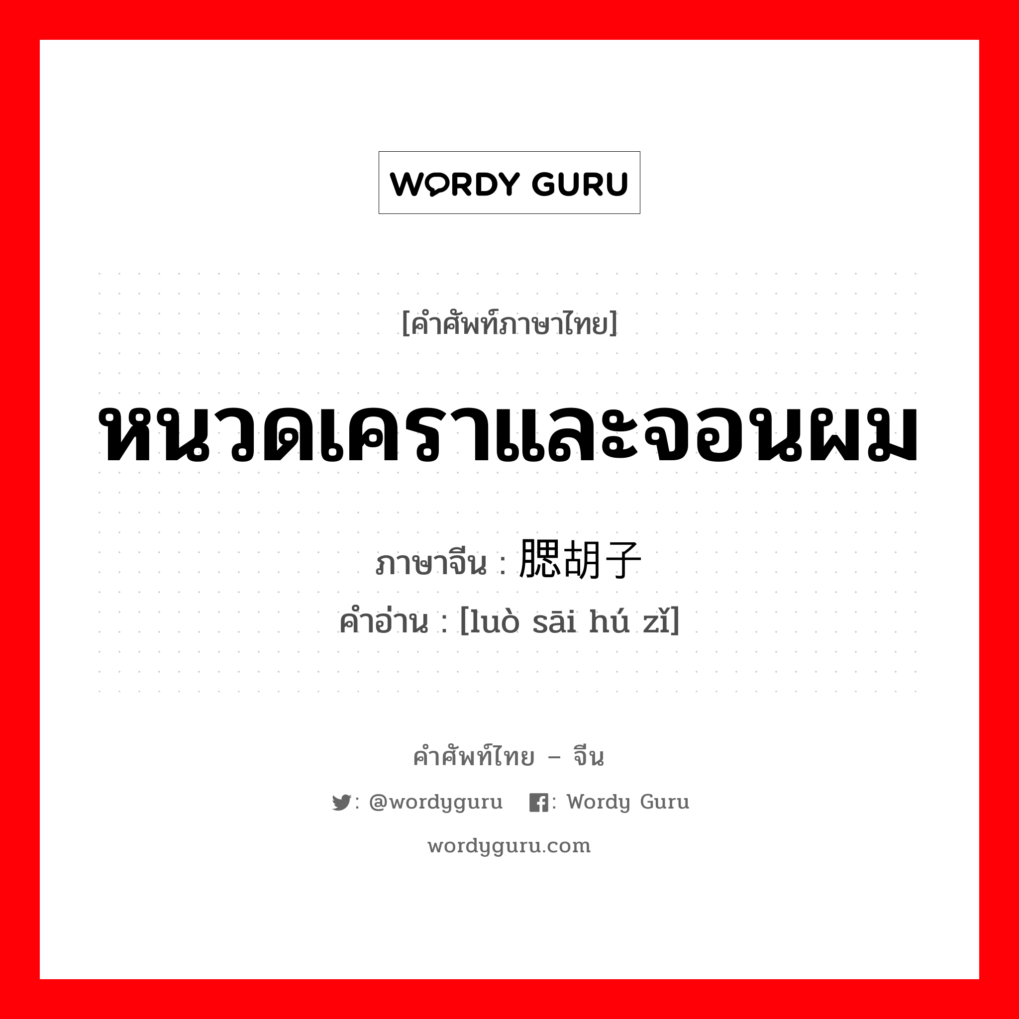 หนวดเคราและจอนผม ภาษาจีนคืออะไร, คำศัพท์ภาษาไทย - จีน หนวดเคราและจอนผม ภาษาจีน 络腮胡子 คำอ่าน [luò sāi hú zǐ]