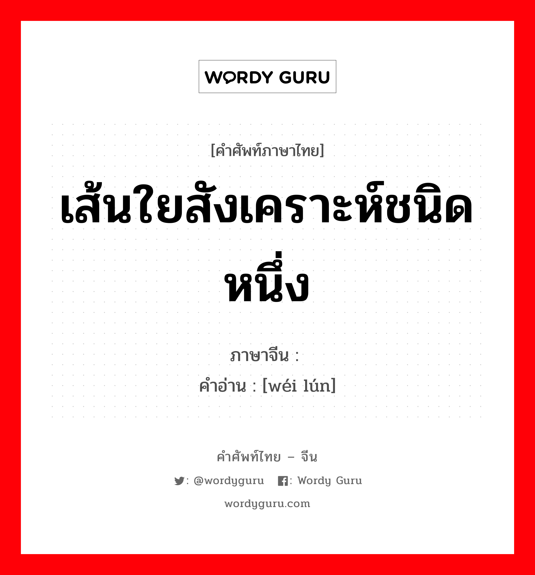 เส้นใยสังเคราะห์ชนิดหนึ่ง ภาษาจีนคืออะไร, คำศัพท์ภาษาไทย - จีน เส้นใยสังเคราะห์ชนิดหนึ่ง ภาษาจีน 维纶 คำอ่าน [wéi lún]