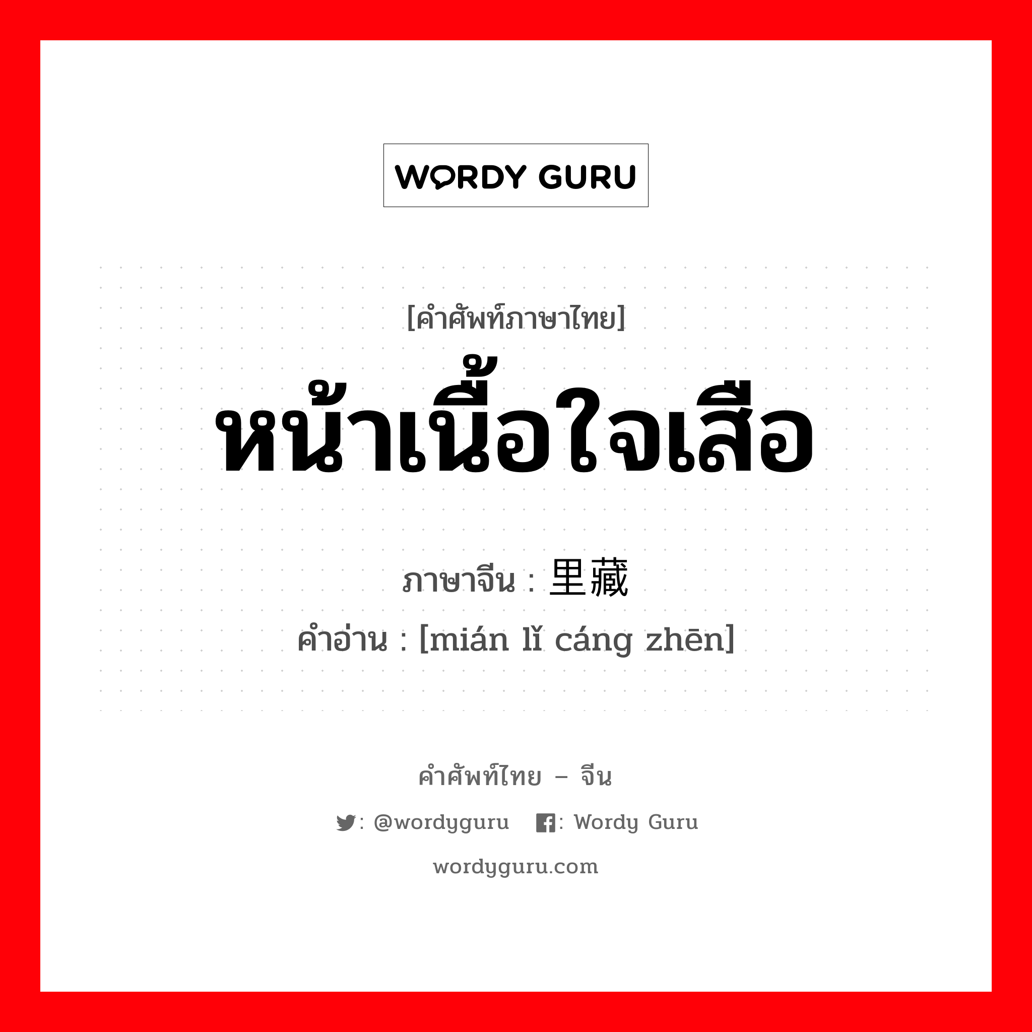 หน้าเนื้อใจเสือ ภาษาจีนคืออะไร, คำศัพท์ภาษาไทย - จีน หน้าเนื้อใจเสือ ภาษาจีน 绵里藏针 คำอ่าน [mián lǐ cáng zhēn]