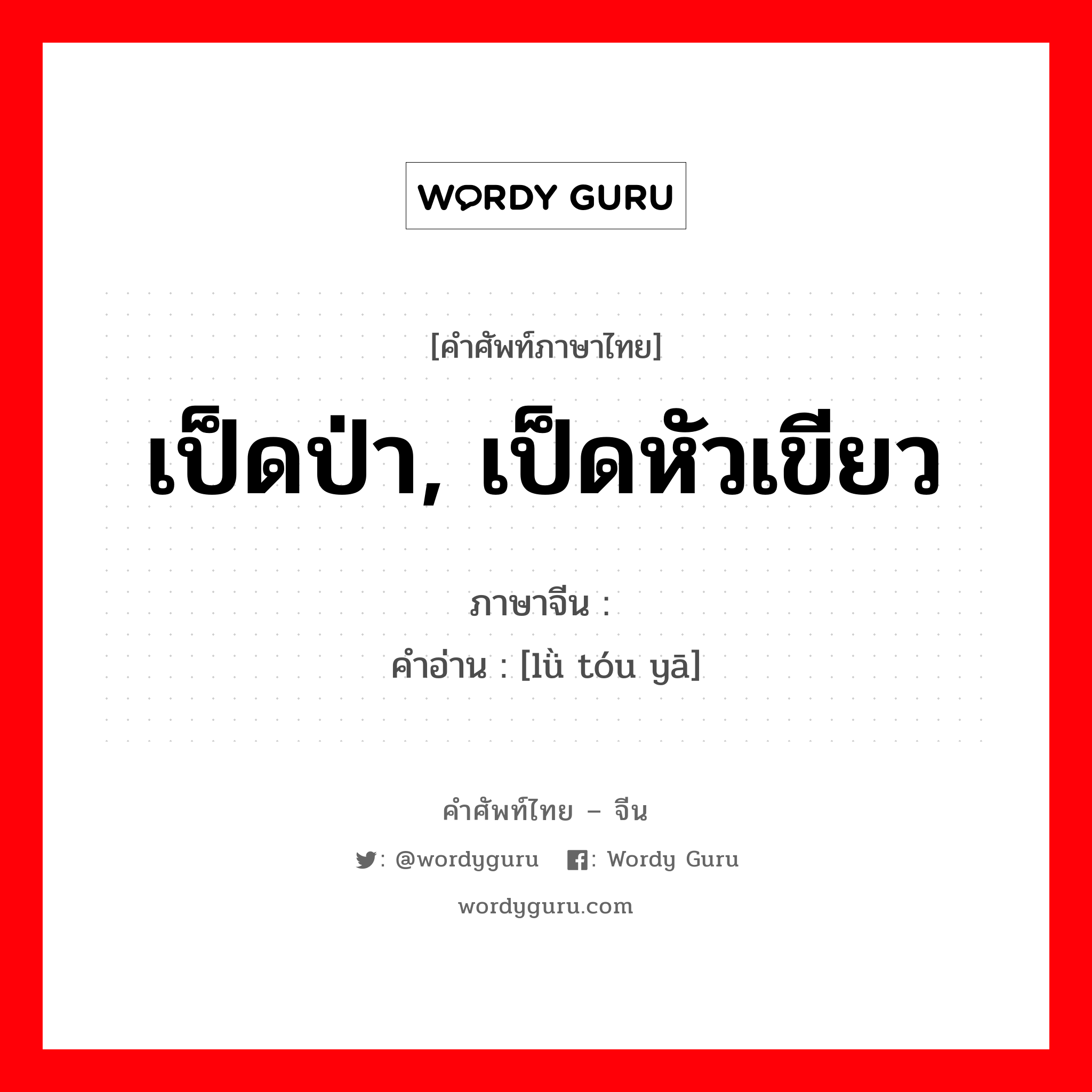 เป็ดป่า, เป็ดหัวเขียว ภาษาจีนคืออะไร, คำศัพท์ภาษาไทย - จีน เป็ดป่า, เป็ดหัวเขียว ภาษาจีน 绿头鸭 คำอ่าน [lǜ tóu yā]