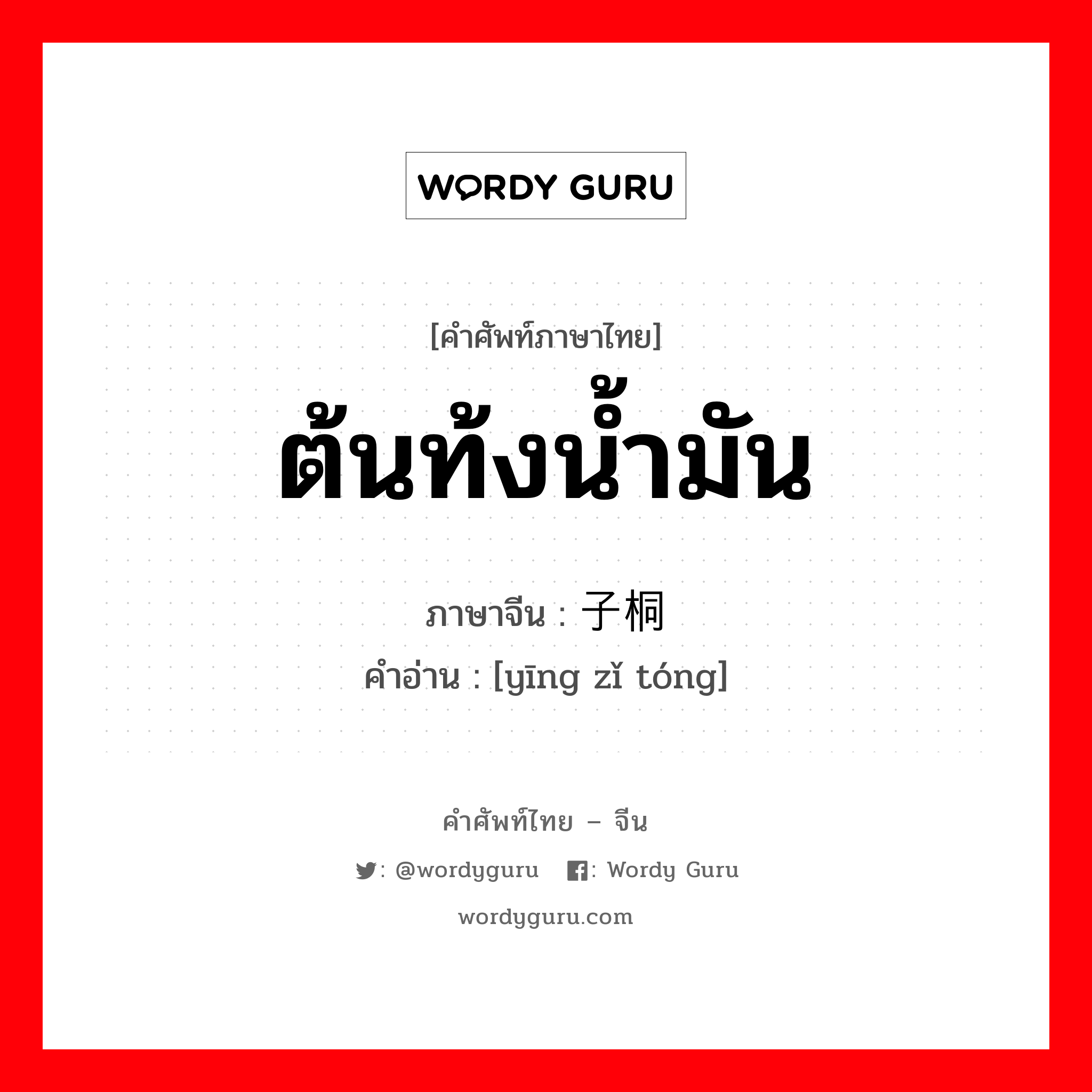 ต้นท้งน้ำมัน ภาษาจีนคืออะไร, คำศัพท์ภาษาไทย - จีน ต้นท้งน้ำมัน ภาษาจีน 罂子桐 คำอ่าน [yīng zǐ tóng]