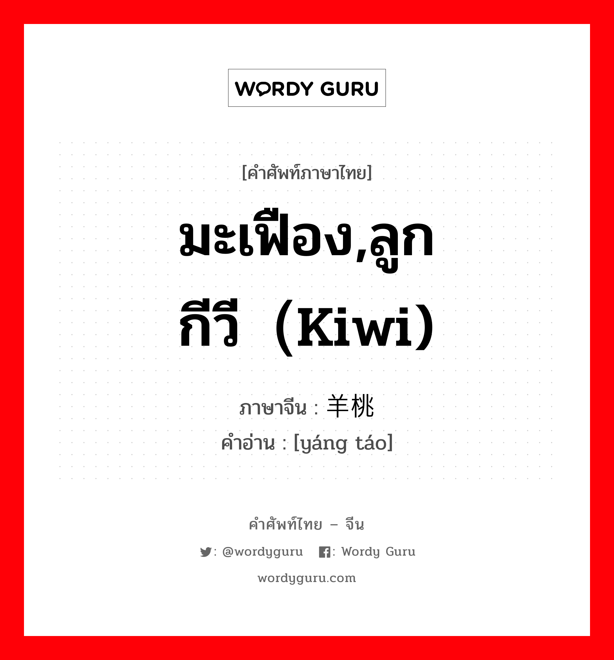 มะเฟือง,ลูกกีวี（kiwi) ภาษาจีนคืออะไร, คำศัพท์ภาษาไทย - จีน มะเฟือง,ลูกกีวี（kiwi) ภาษาจีน 羊桃 คำอ่าน [yáng táo]