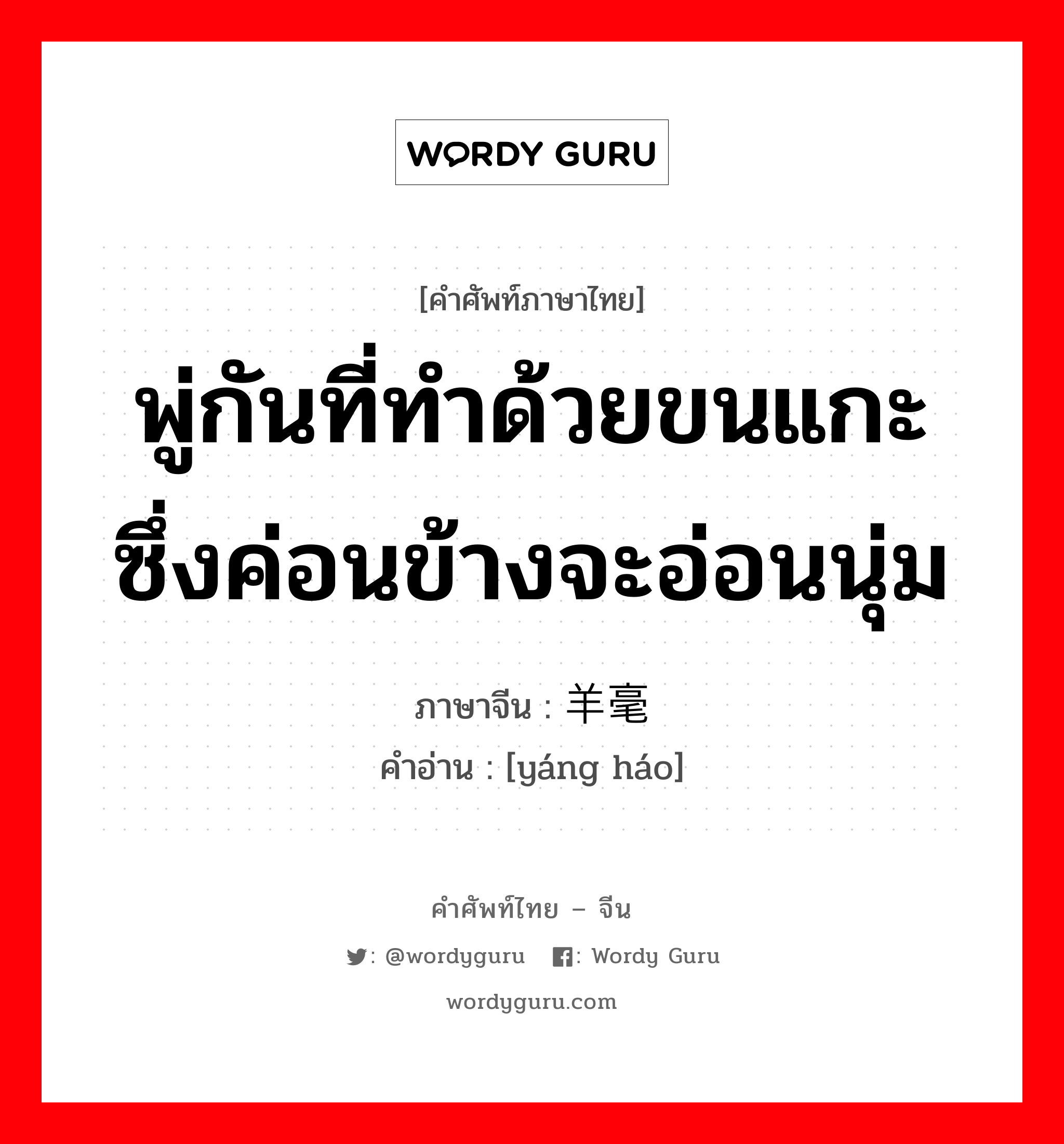 พู่กันที่ทำด้วยขนแกะซึ่งค่อนข้างจะอ่อนนุ่ม ภาษาจีนคืออะไร, คำศัพท์ภาษาไทย - จีน พู่กันที่ทำด้วยขนแกะซึ่งค่อนข้างจะอ่อนนุ่ม ภาษาจีน 羊毫 คำอ่าน [yáng háo]