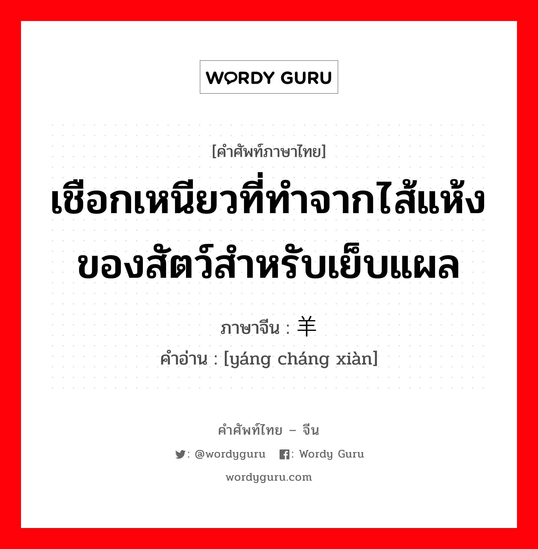 เชือกเหนียวที่ทำจากไส้แห้งของสัตว์สำหรับเย็บแผล ภาษาจีนคืออะไร, คำศัพท์ภาษาไทย - จีน เชือกเหนียวที่ทำจากไส้แห้งของสัตว์สำหรับเย็บแผล ภาษาจีน 羊肠线 คำอ่าน [yáng cháng xiàn]