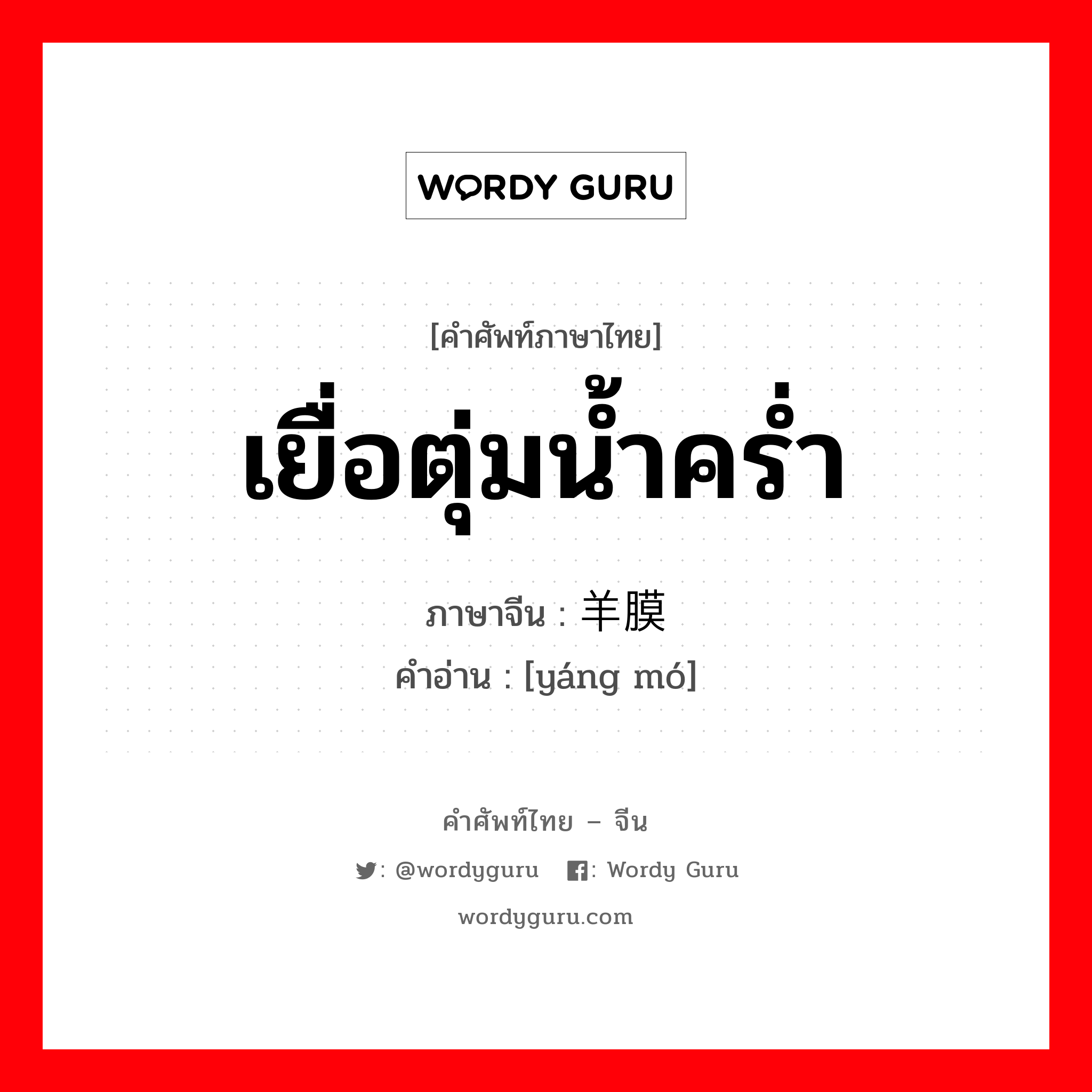 เยื่อตุ่มน้ำคร่ำ ภาษาจีนคืออะไร, คำศัพท์ภาษาไทย - จีน เยื่อตุ่มน้ำคร่ำ ภาษาจีน 羊膜 คำอ่าน [yáng mó]